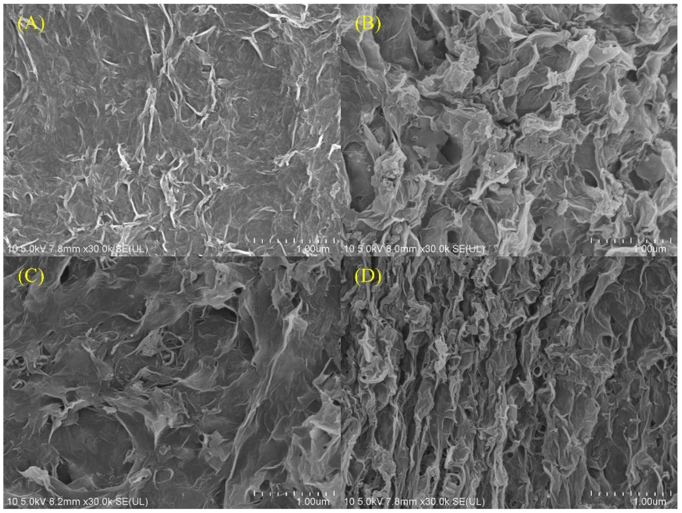 Biosensors 14 00261 g001