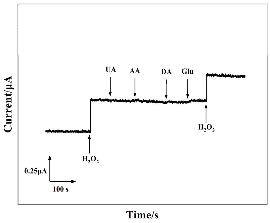 Biosensors 14 00261 g006