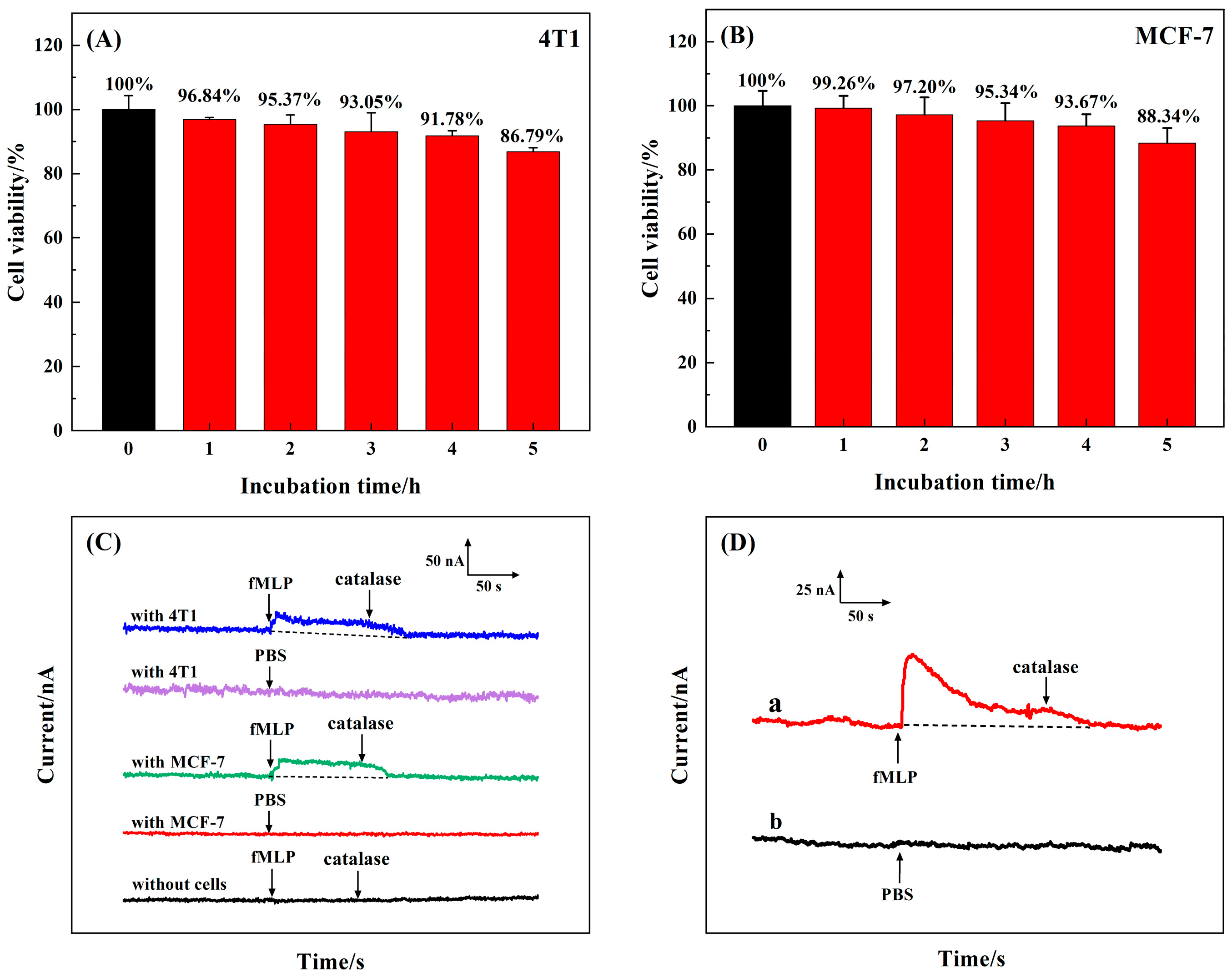 Biosensors 14 00261 g007