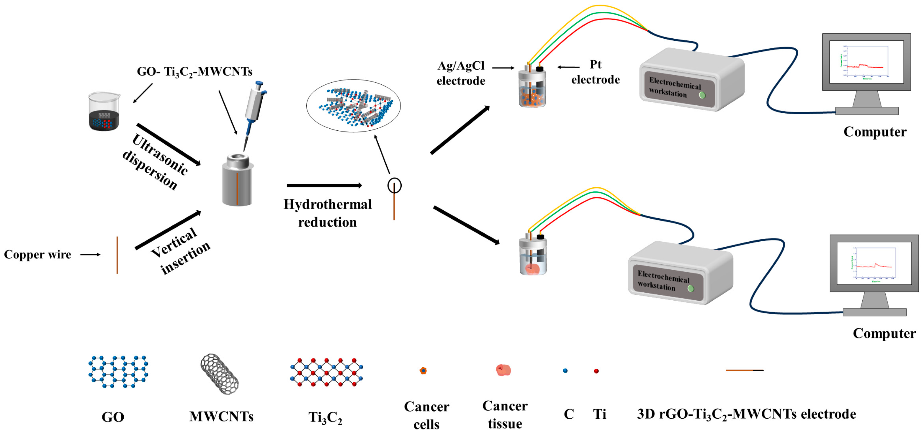 Biosensors 14 00261 sch001