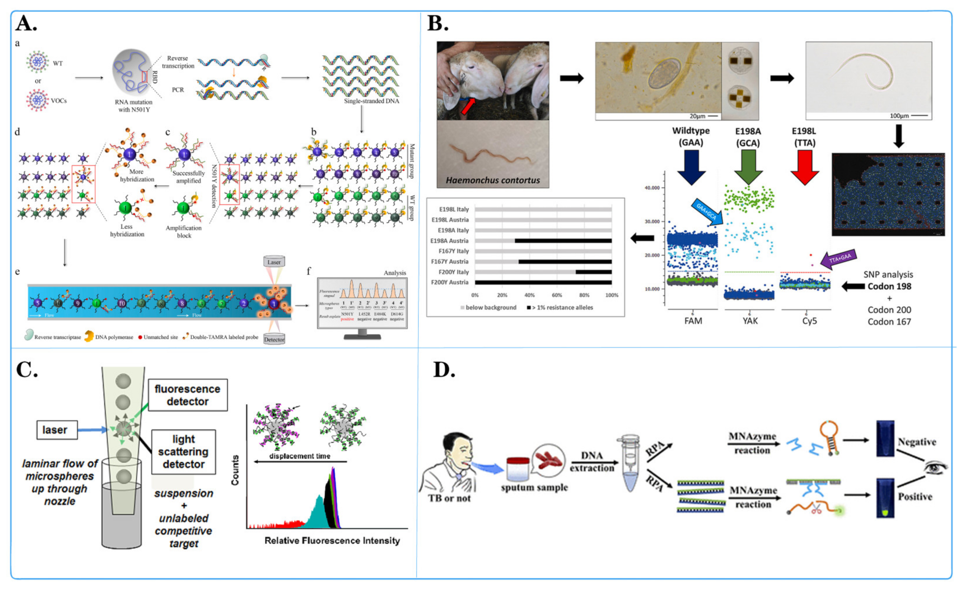 Biosensors 14 00265 g004