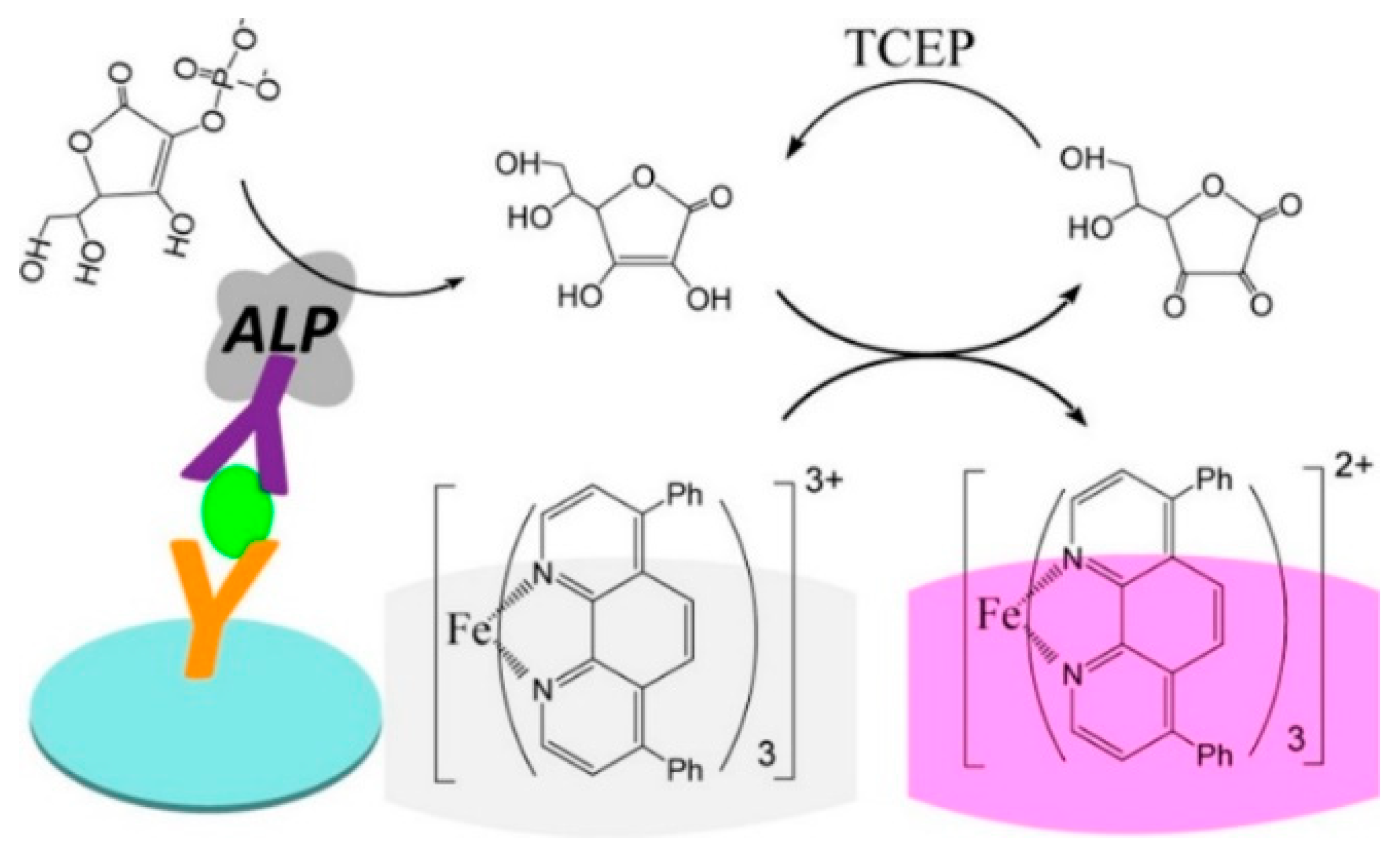 Biosensors 14 00269 g001