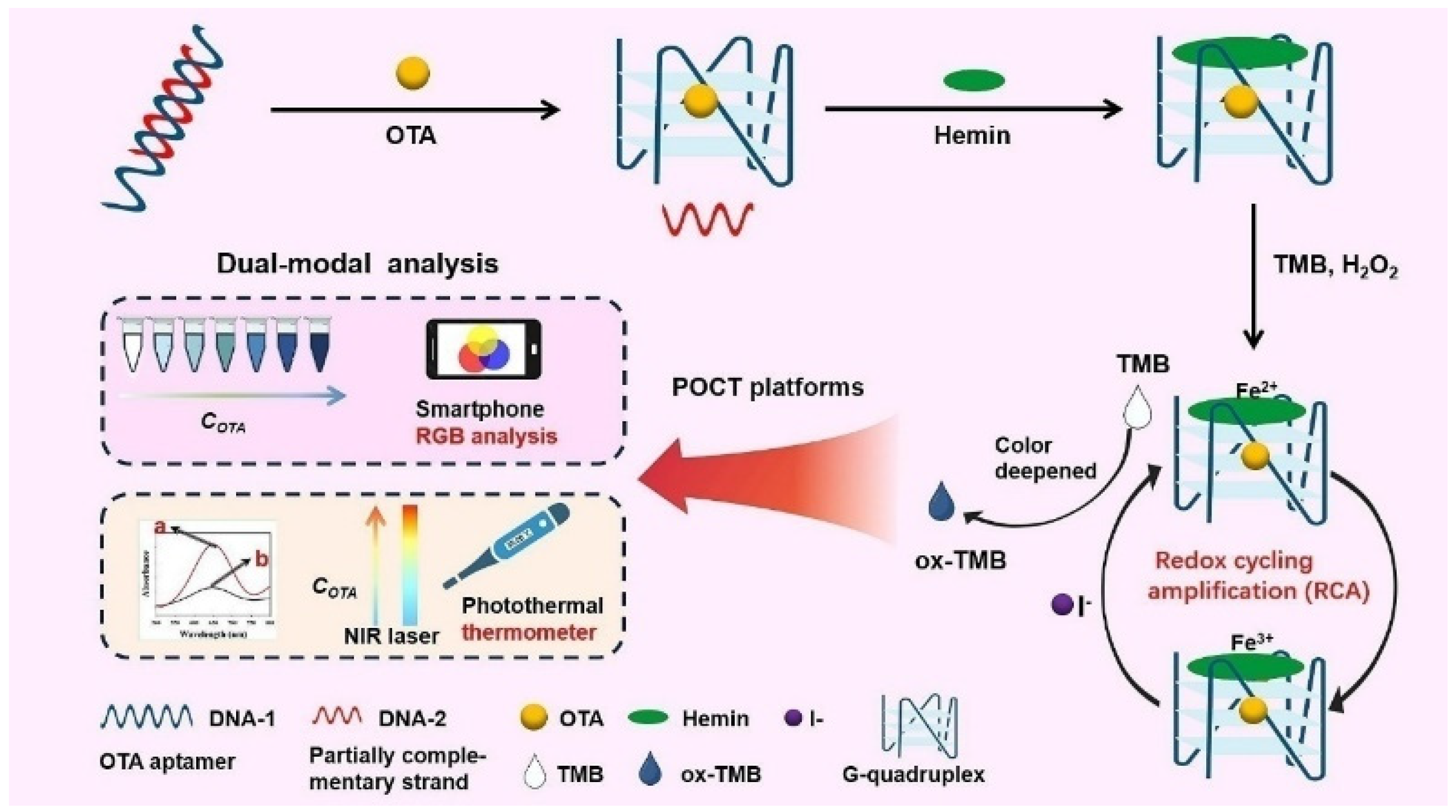Biosensors 14 00269 g003