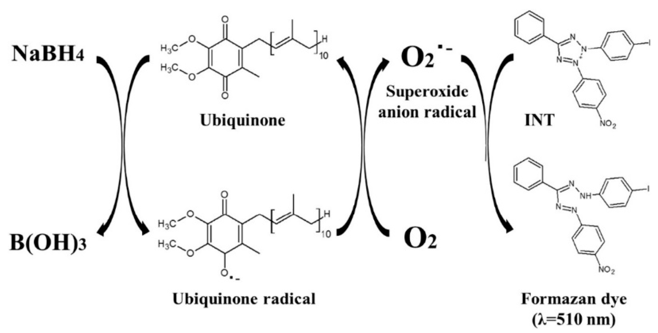 Biosensors 14 00269 g004