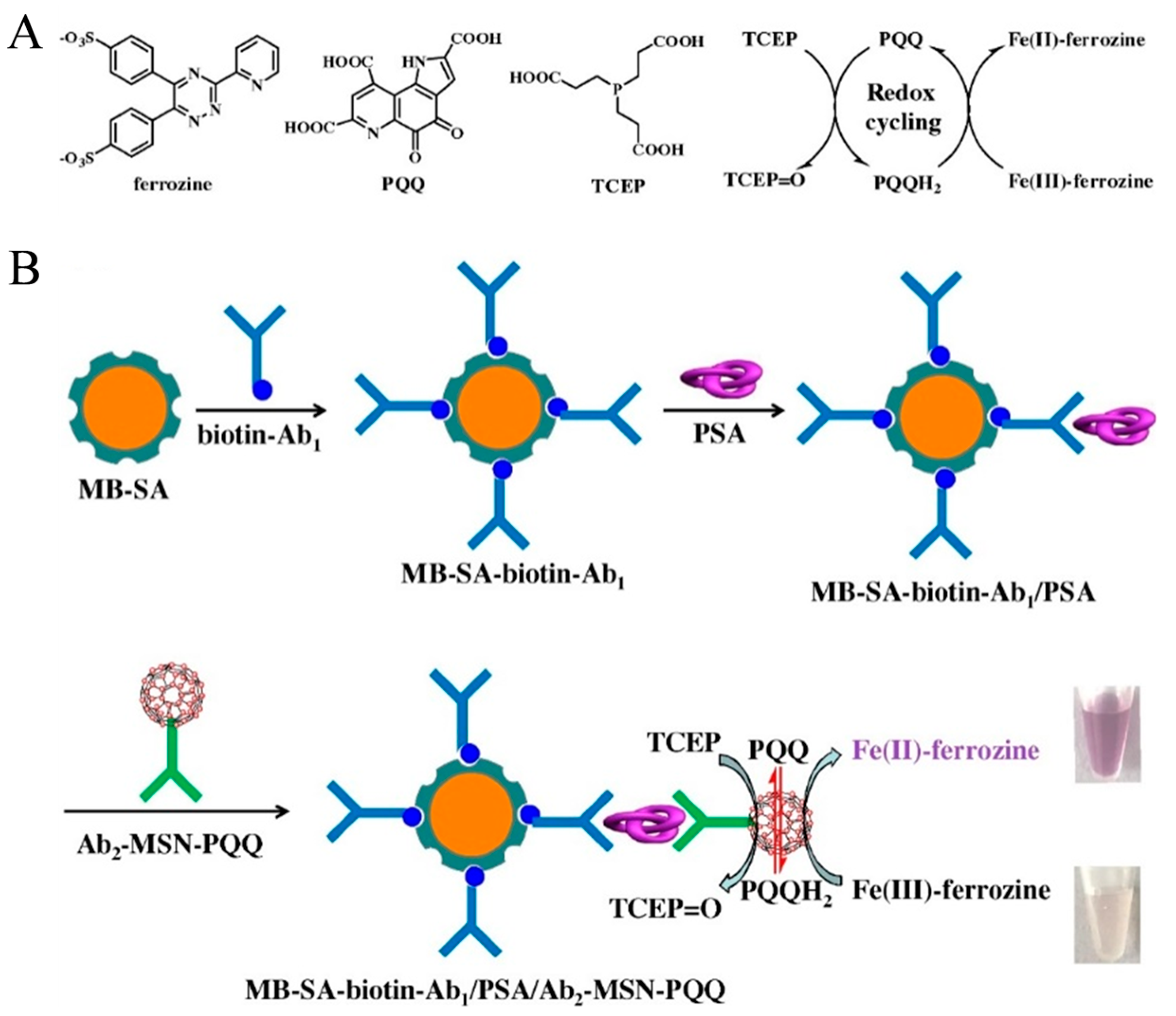 Biosensors 14 00269 g005