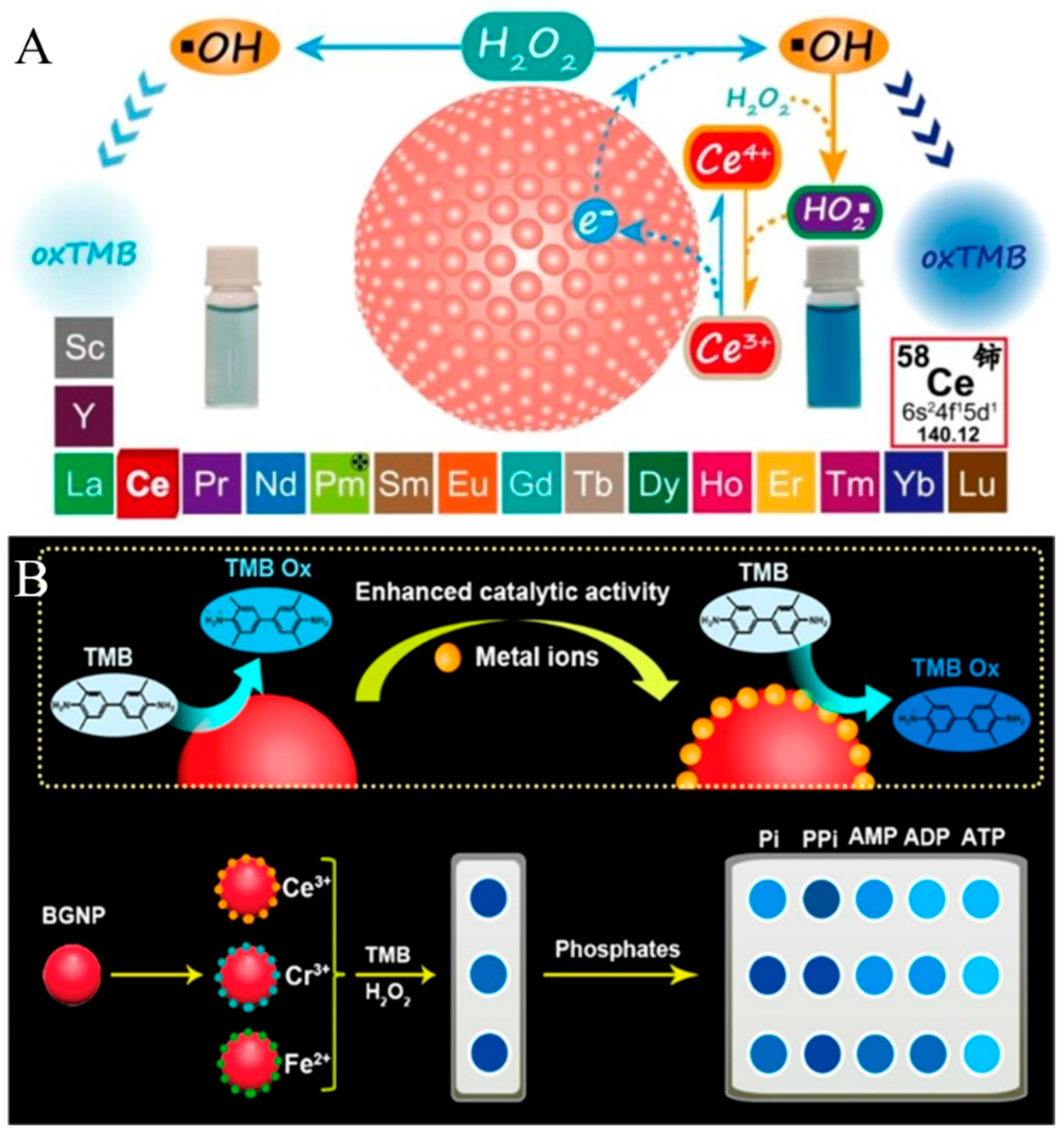 Biosensors 14 00269 g006