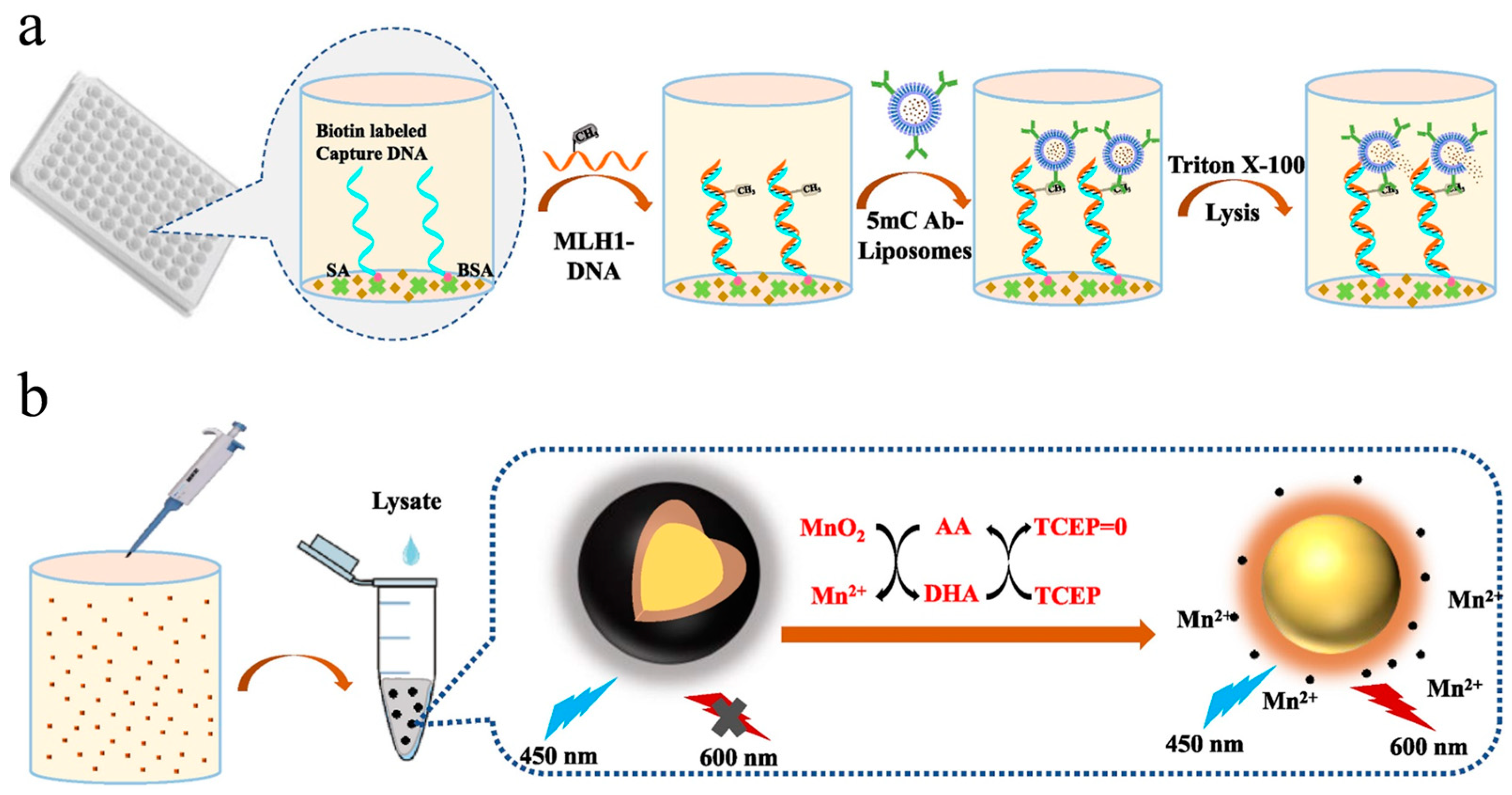 Biosensors 14 00269 g007