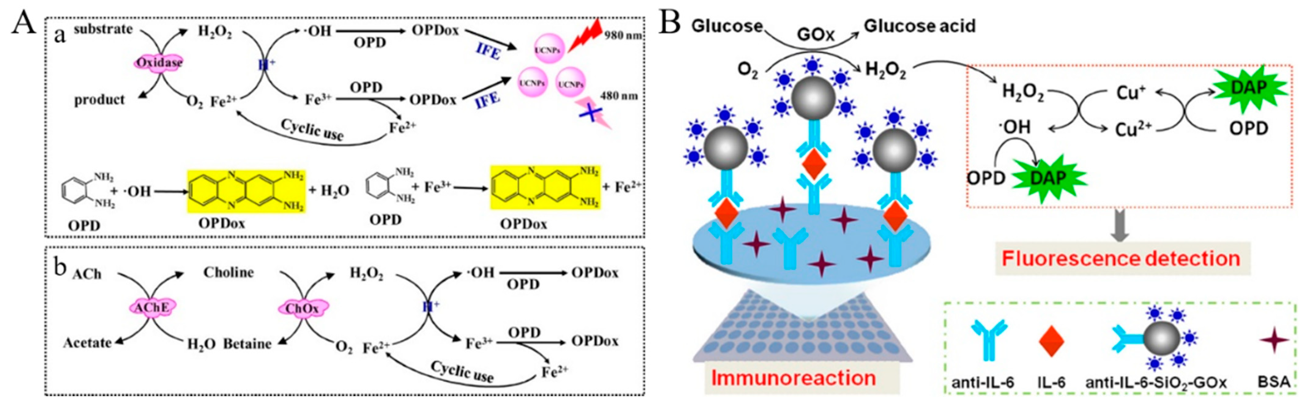 Biosensors 14 00269 g009