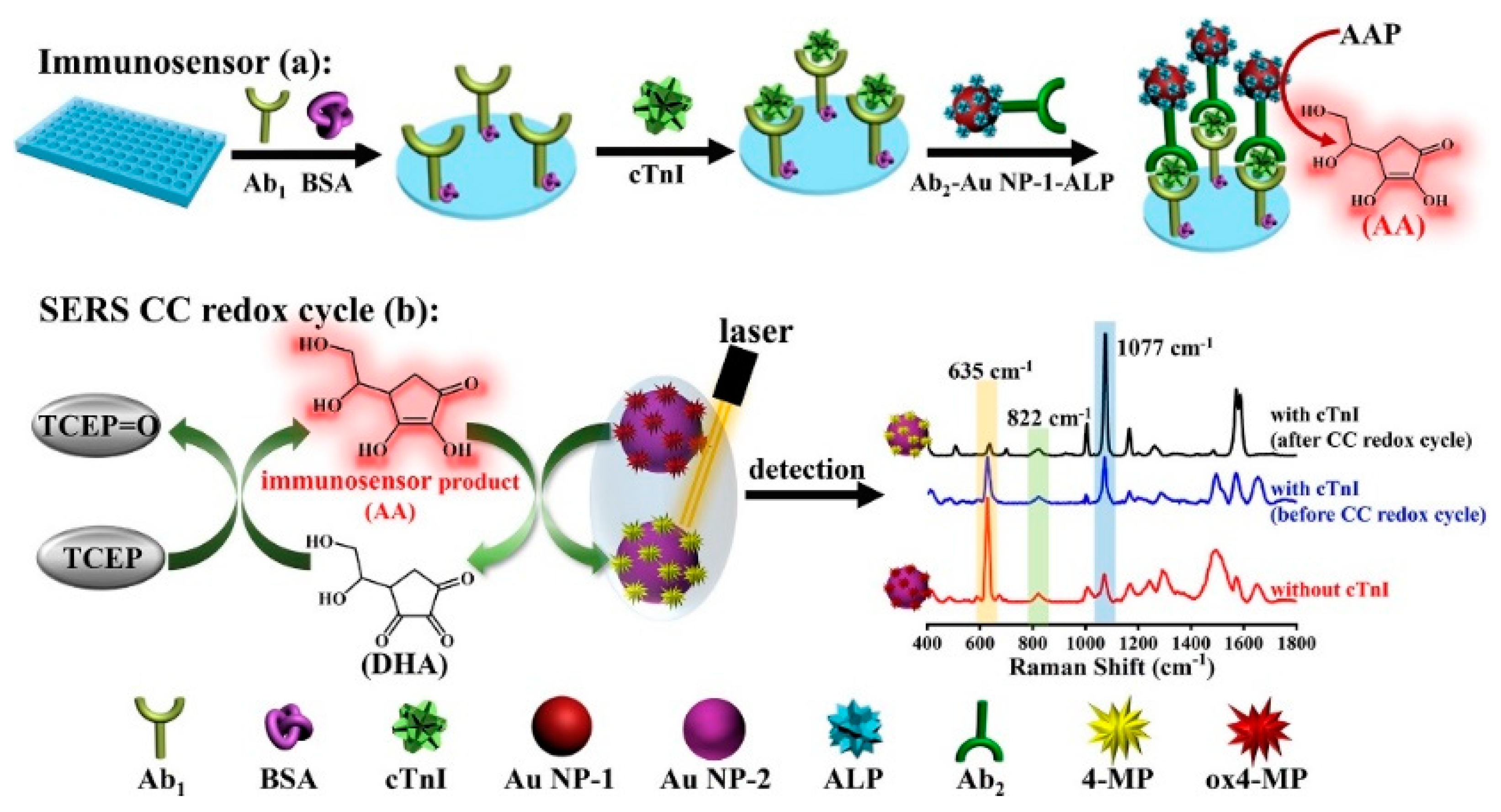 Biosensors 14 00269 g010