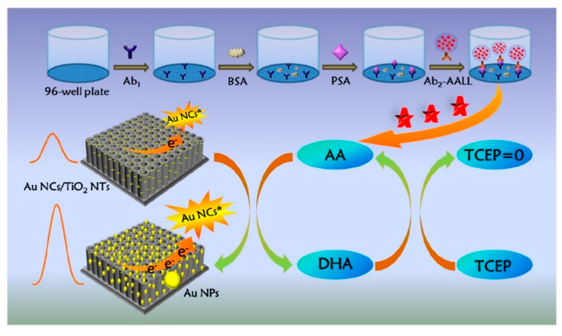 Biosensors 14 00269 g013