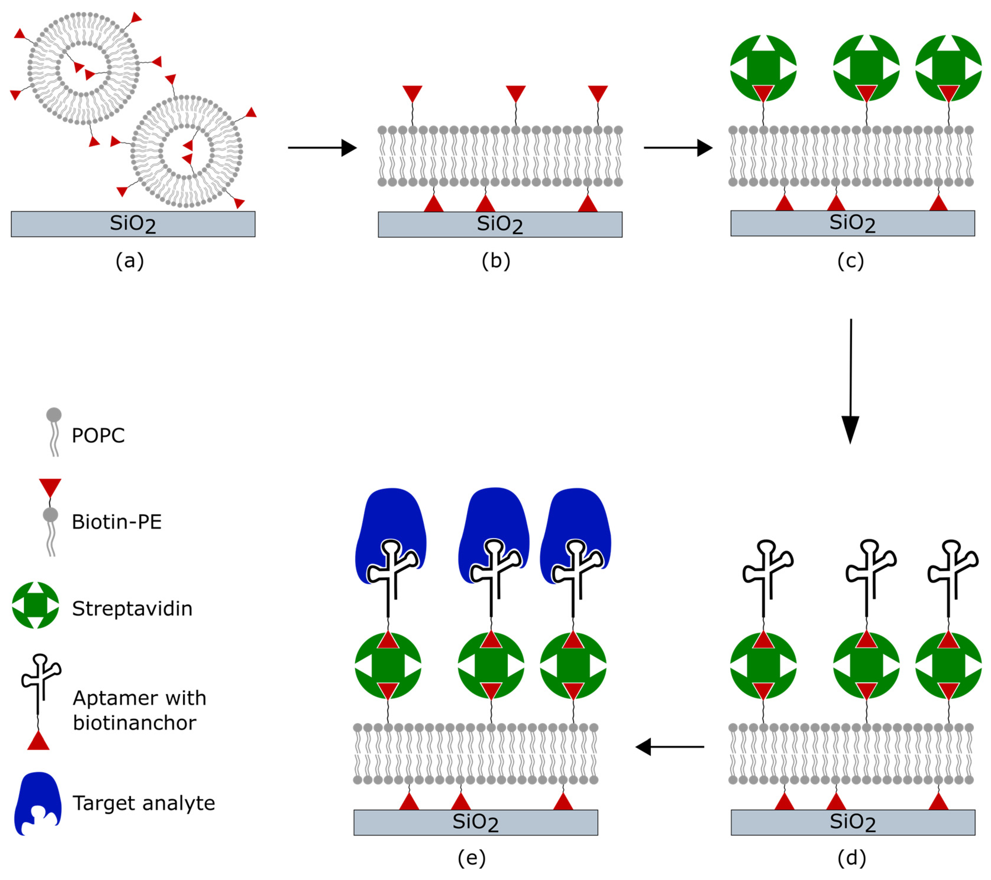 Biosensors 14 00270 g001