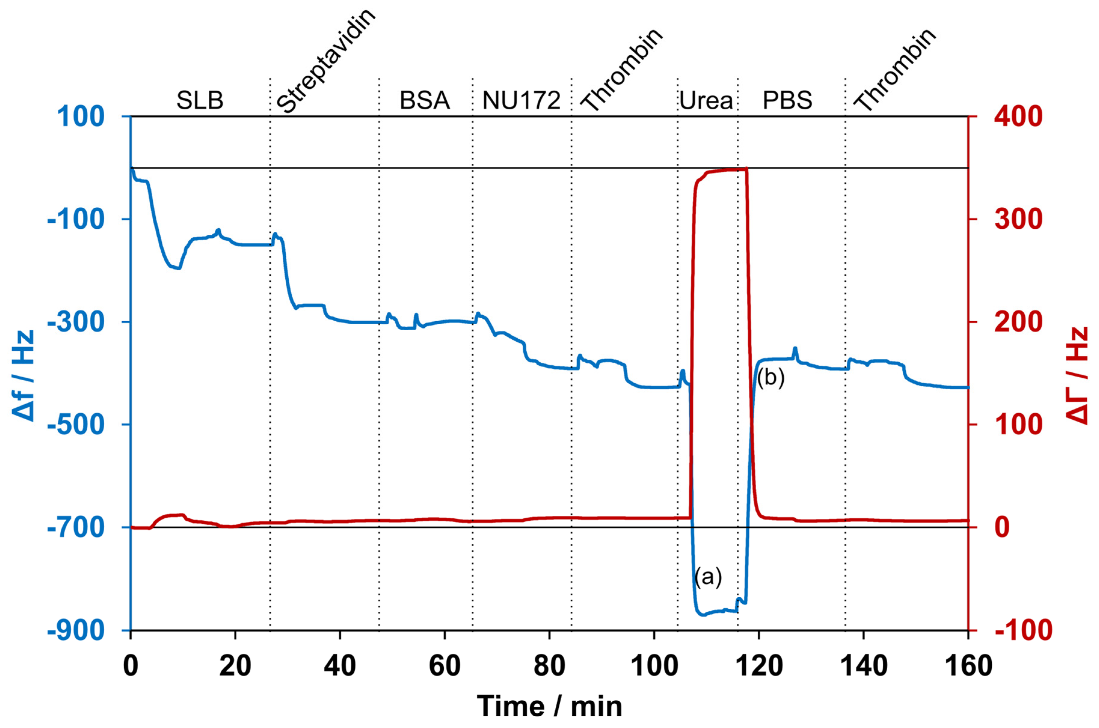 Biosensors 14 00270 g006