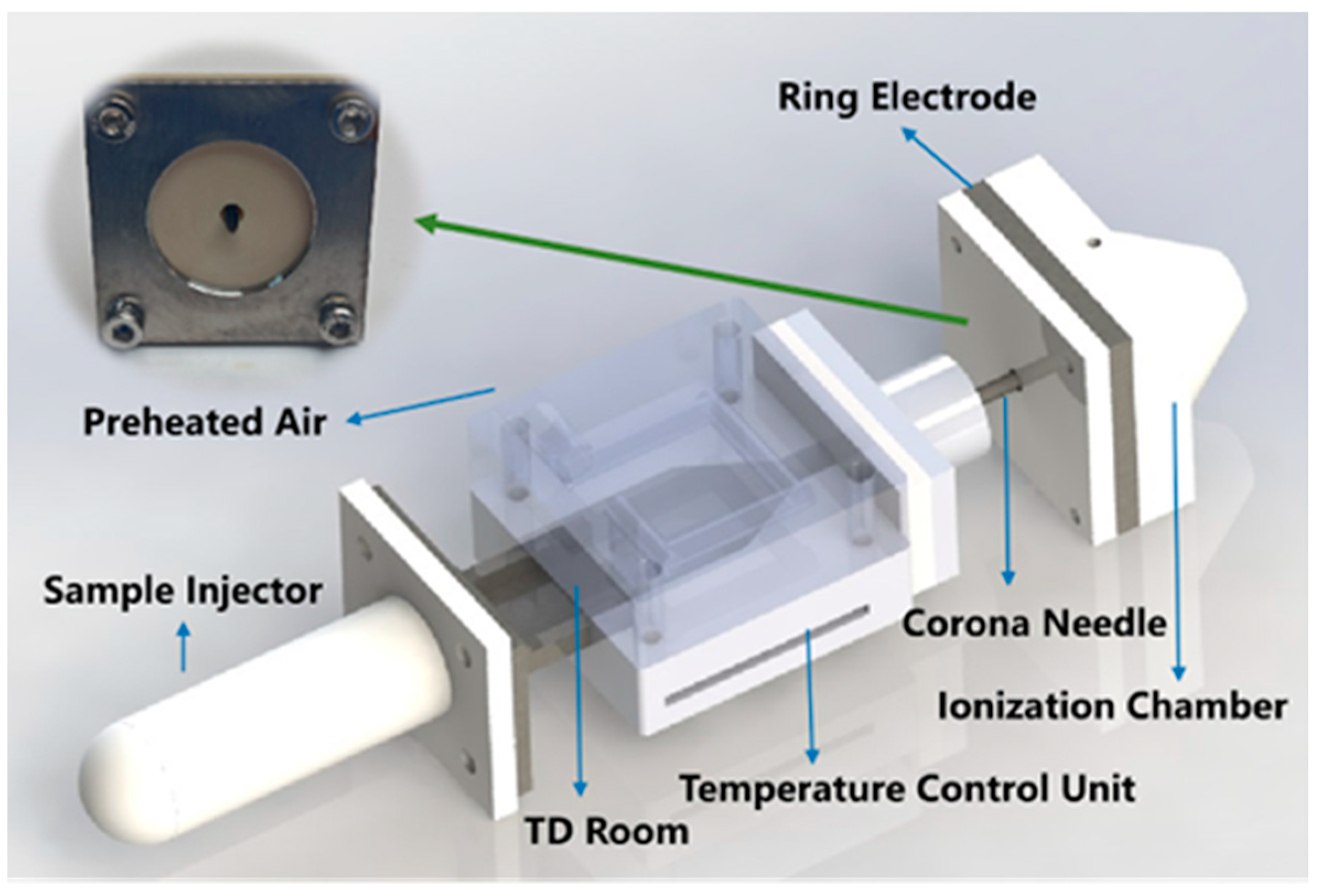 Biosensors 14 00271 g001