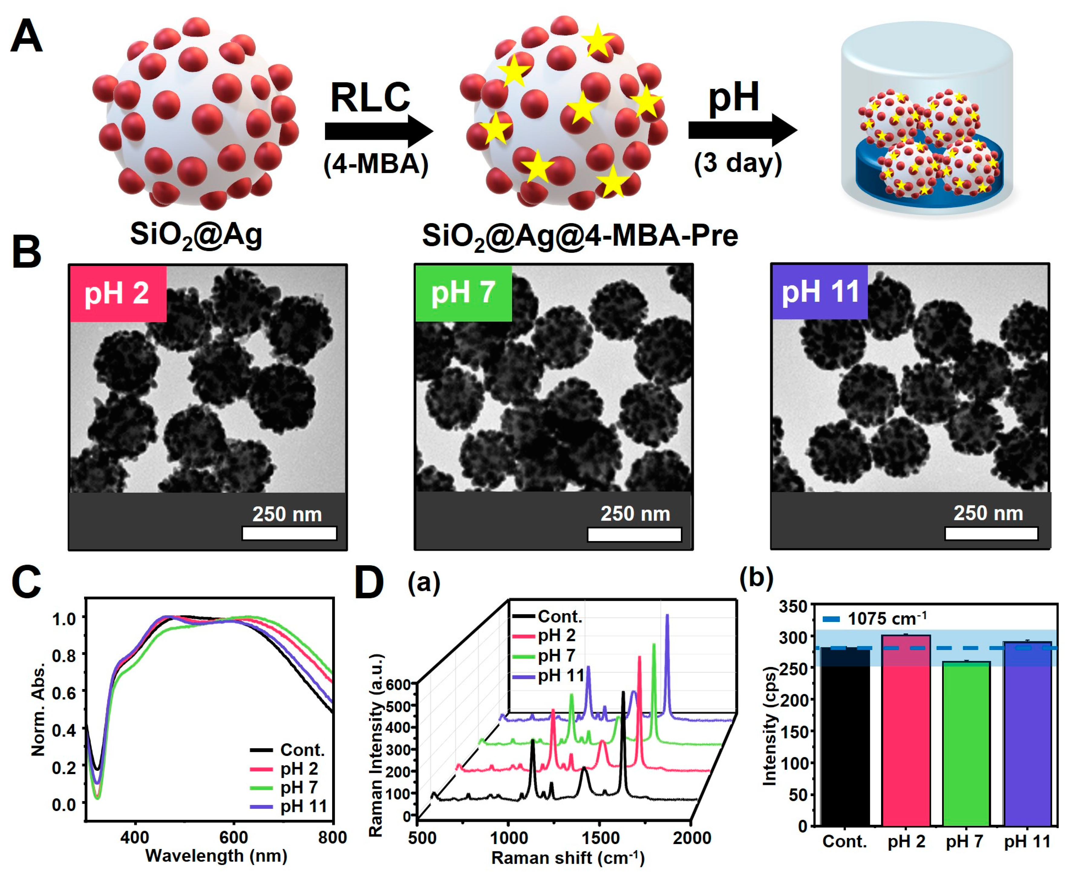 Biosensors 14 00272 g003