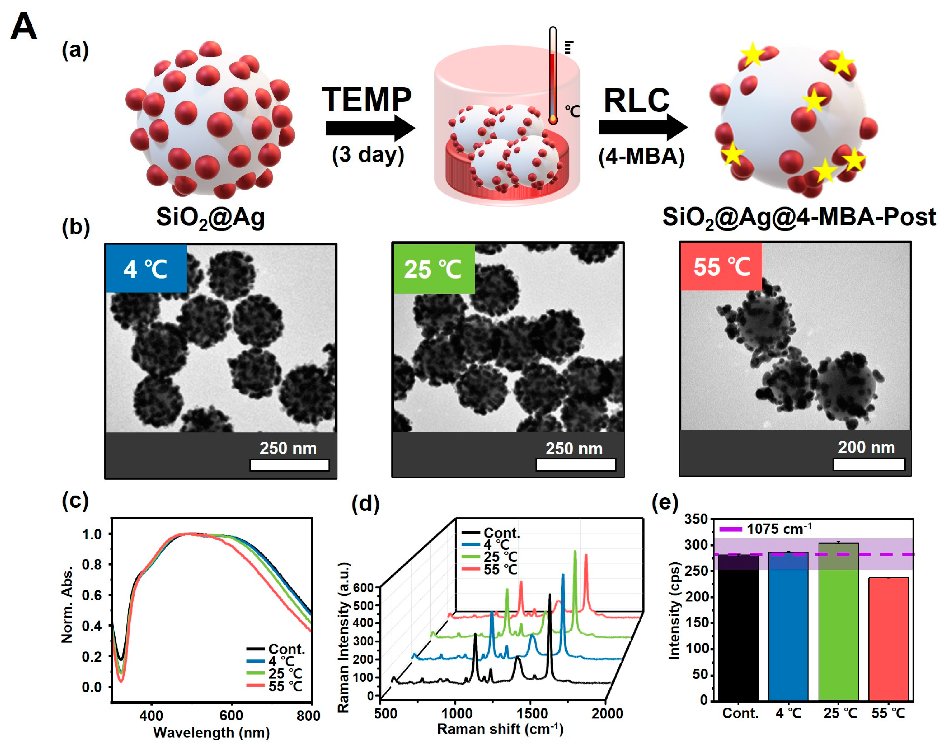 Biosensors 14 00272 g004a