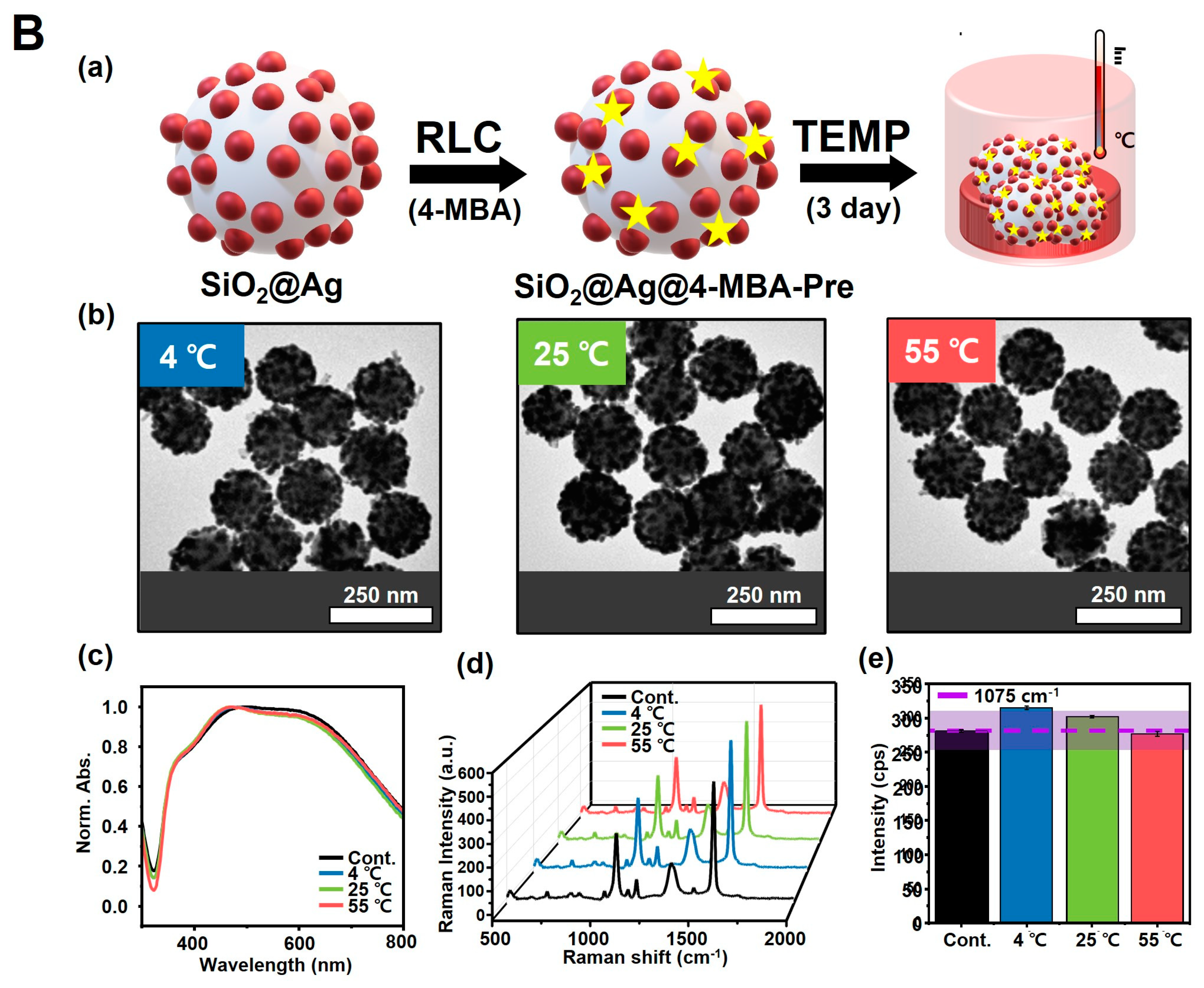 Biosensors 14 00272 g004b