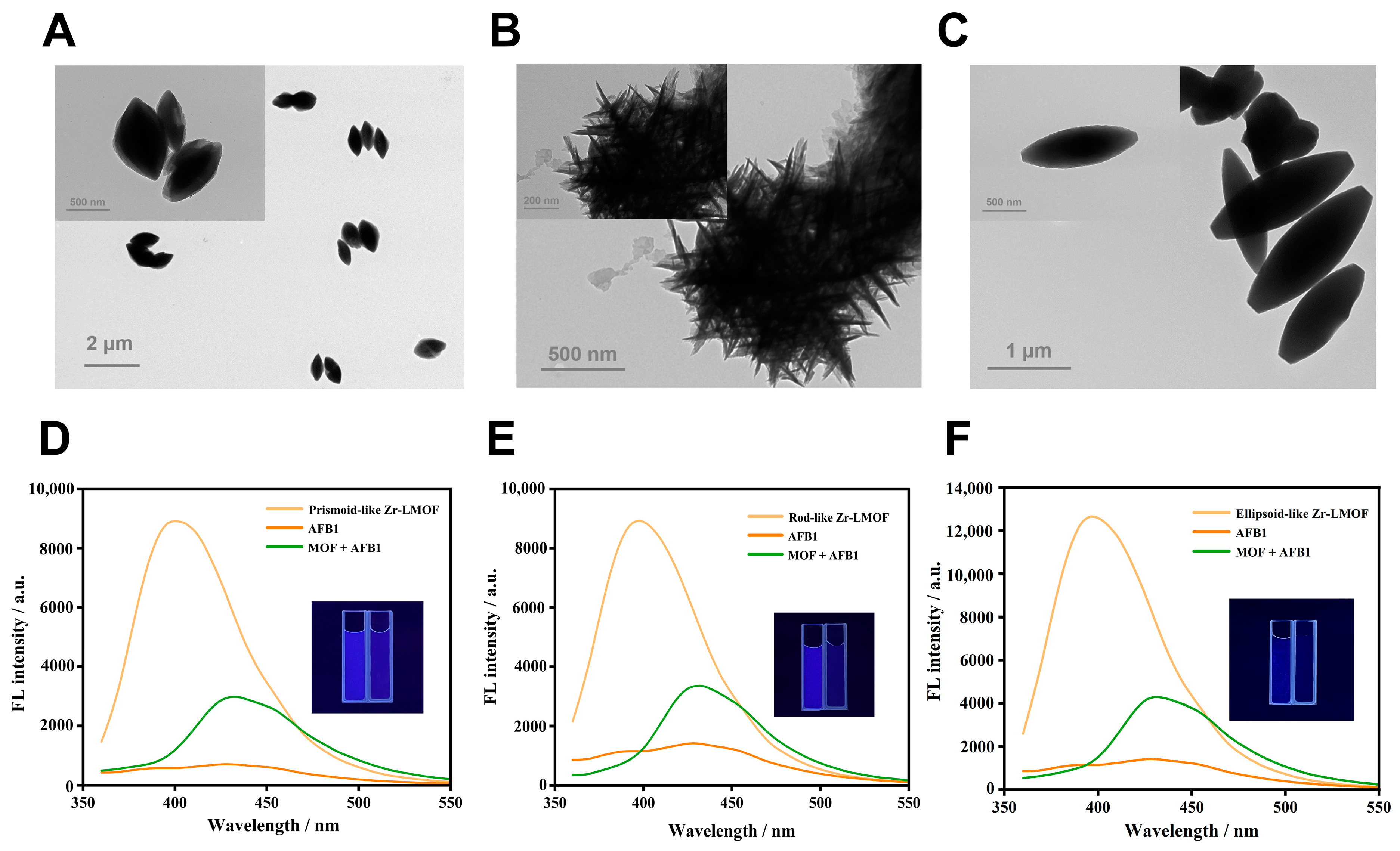 Biosensors 14 00273 g002