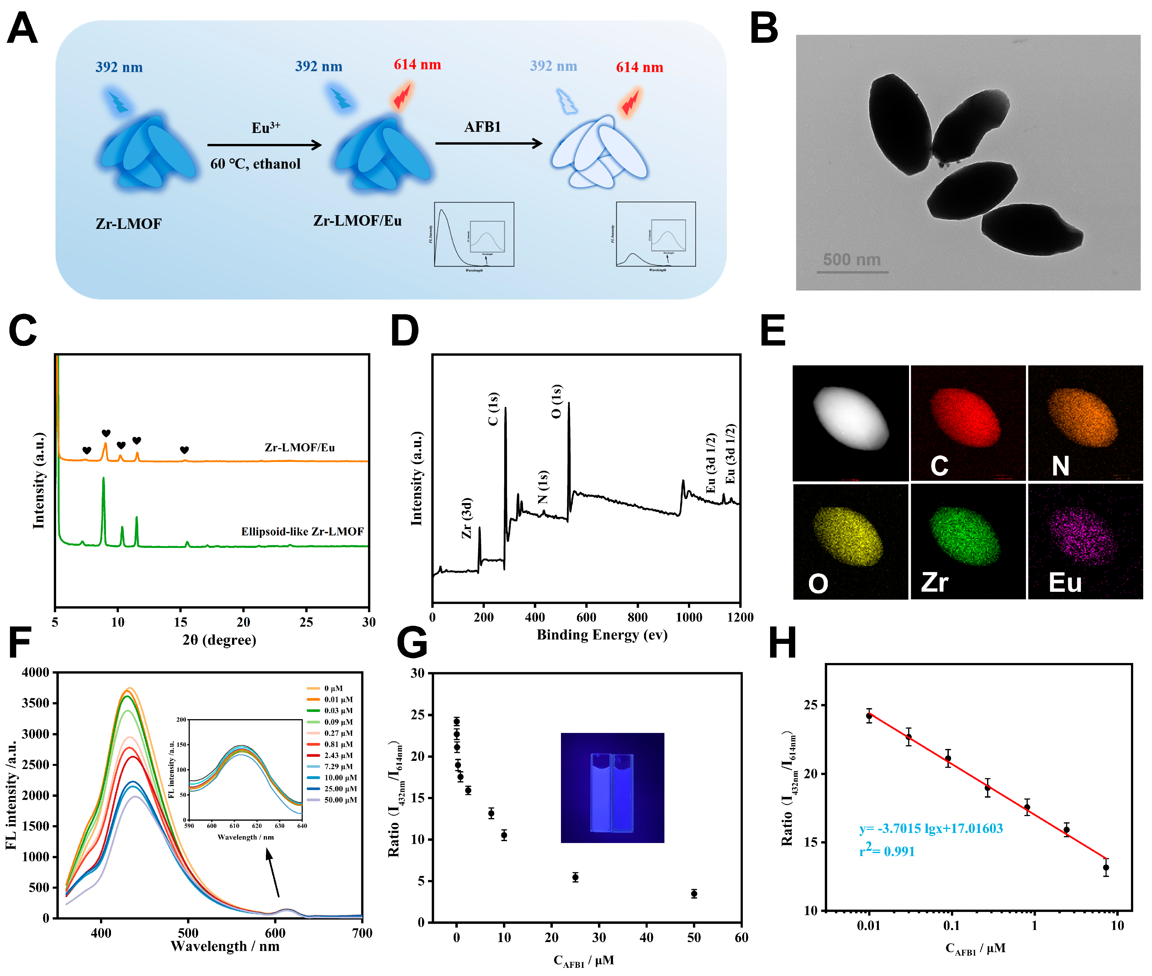 Biosensors 14 00273 g005