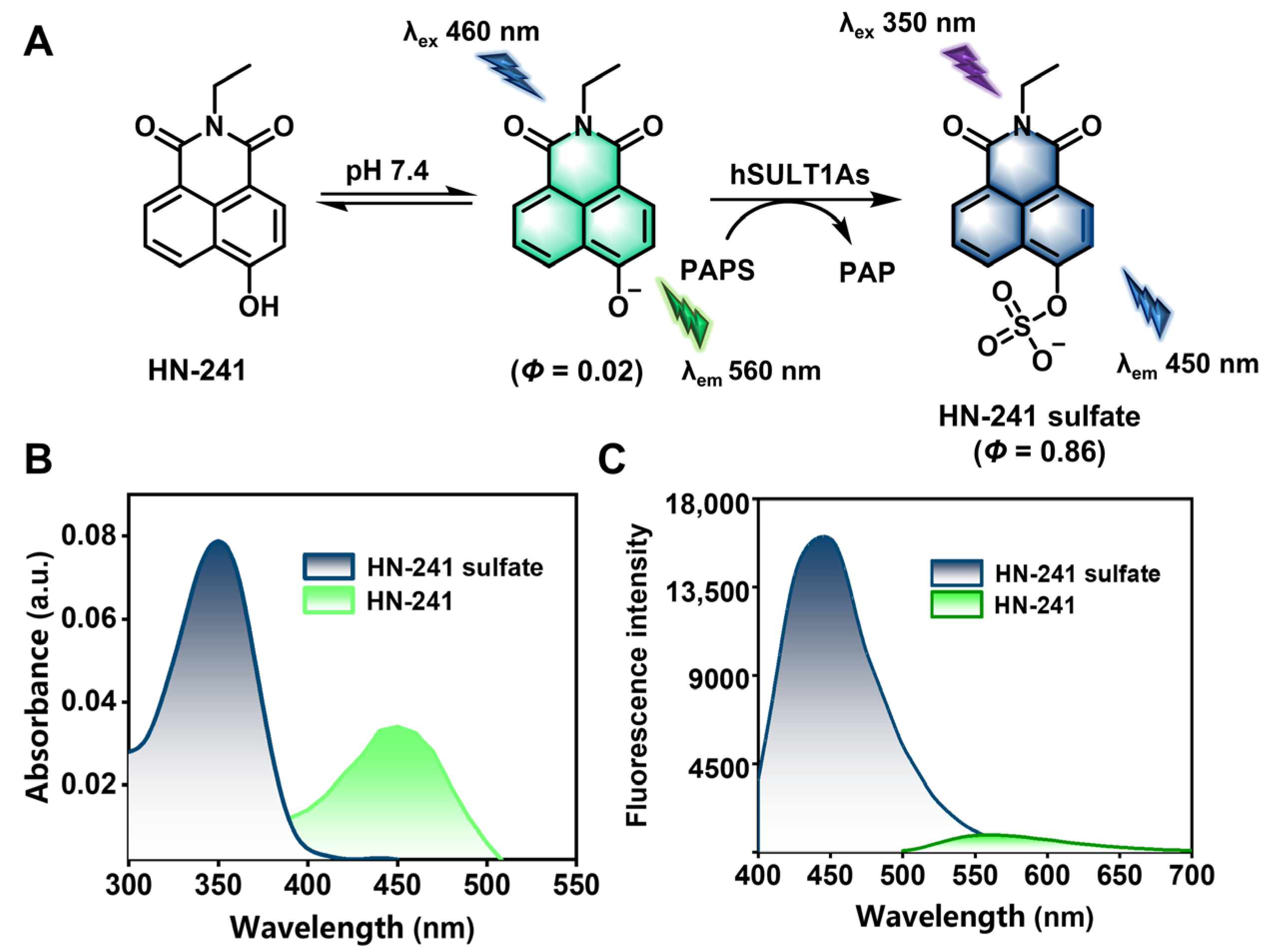Biosensors 14 00275 g003