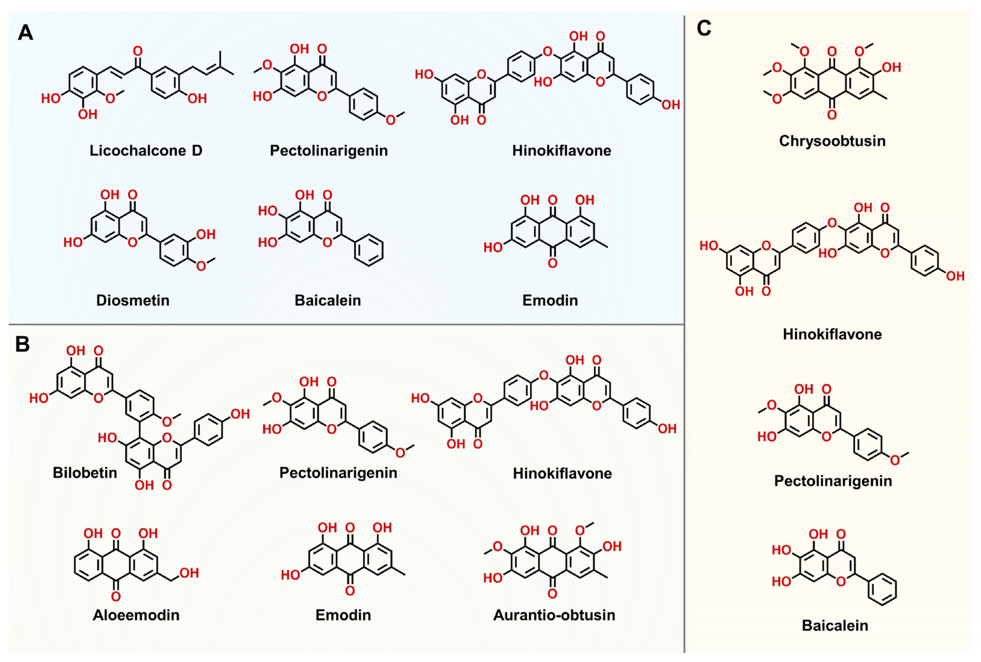 Biosensors 14 00275 g006