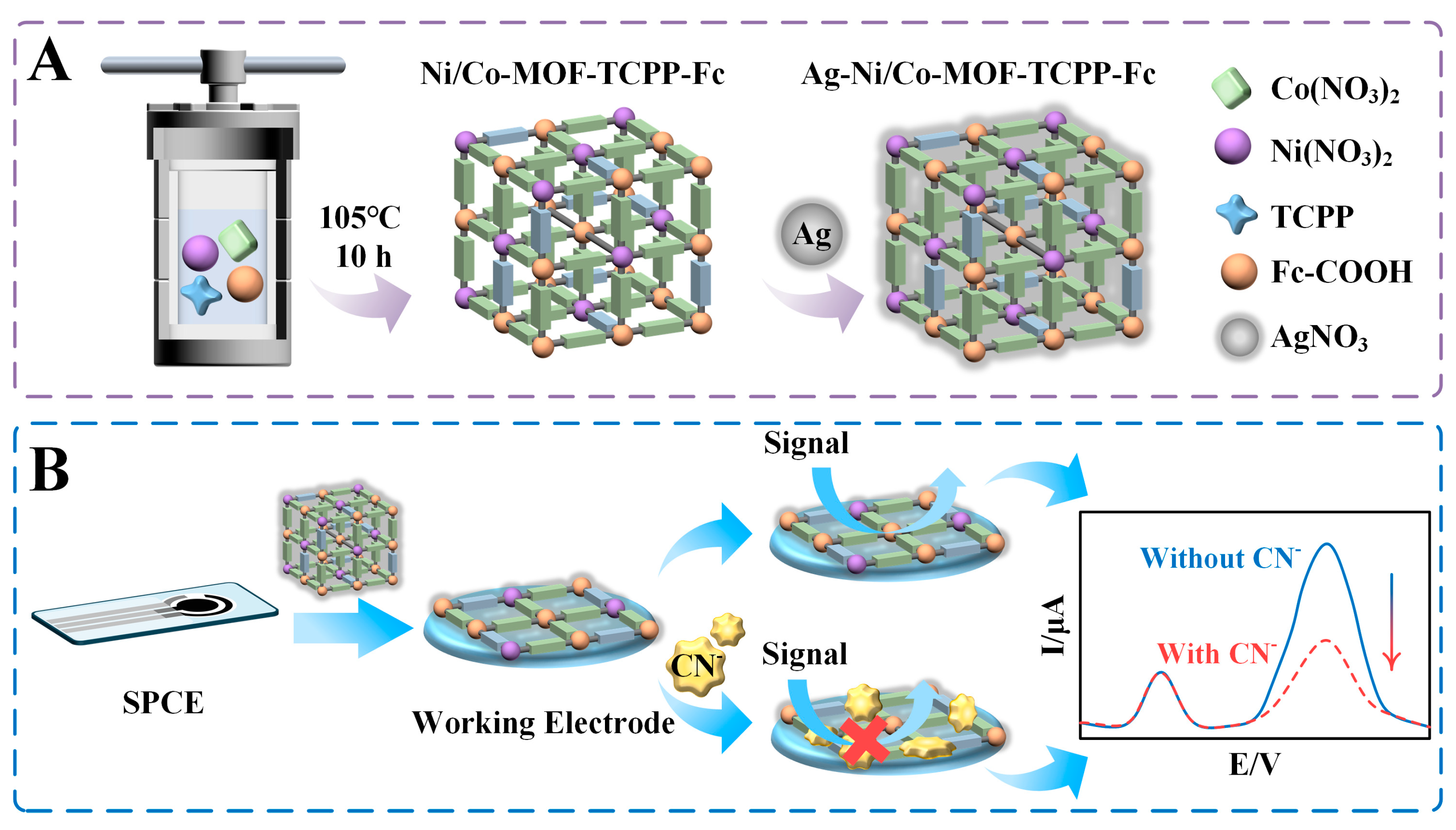Biosensors 14 00276 g001