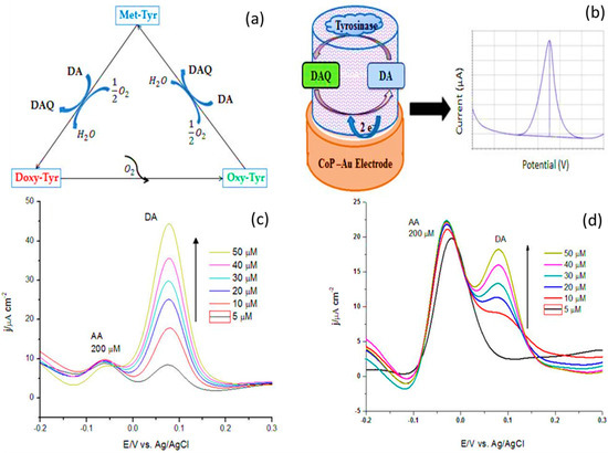 【ben】 Macromolecule–Nanoparticle-Based Hybrid Materials for