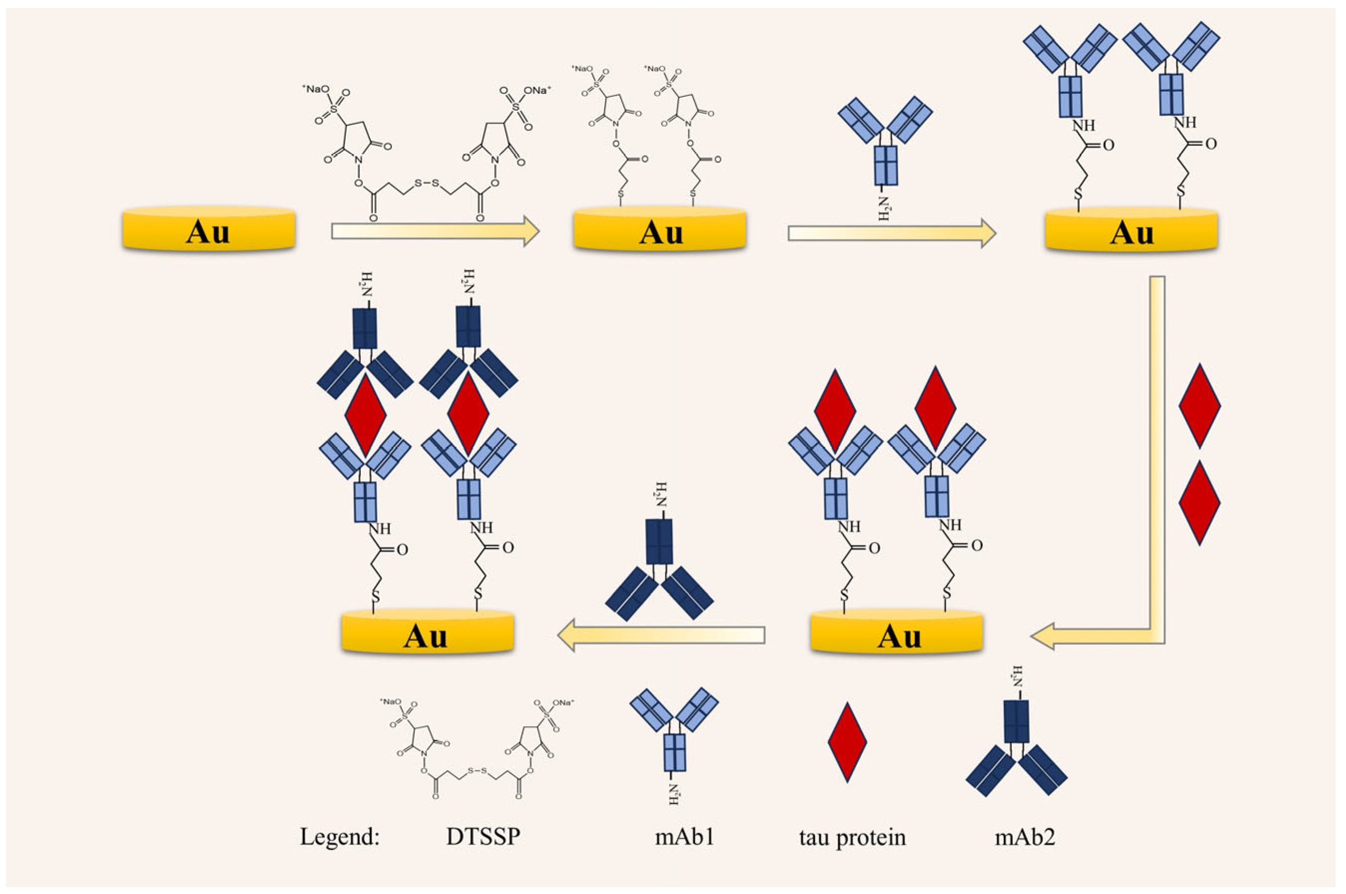 Biosensors 14 00279 g001