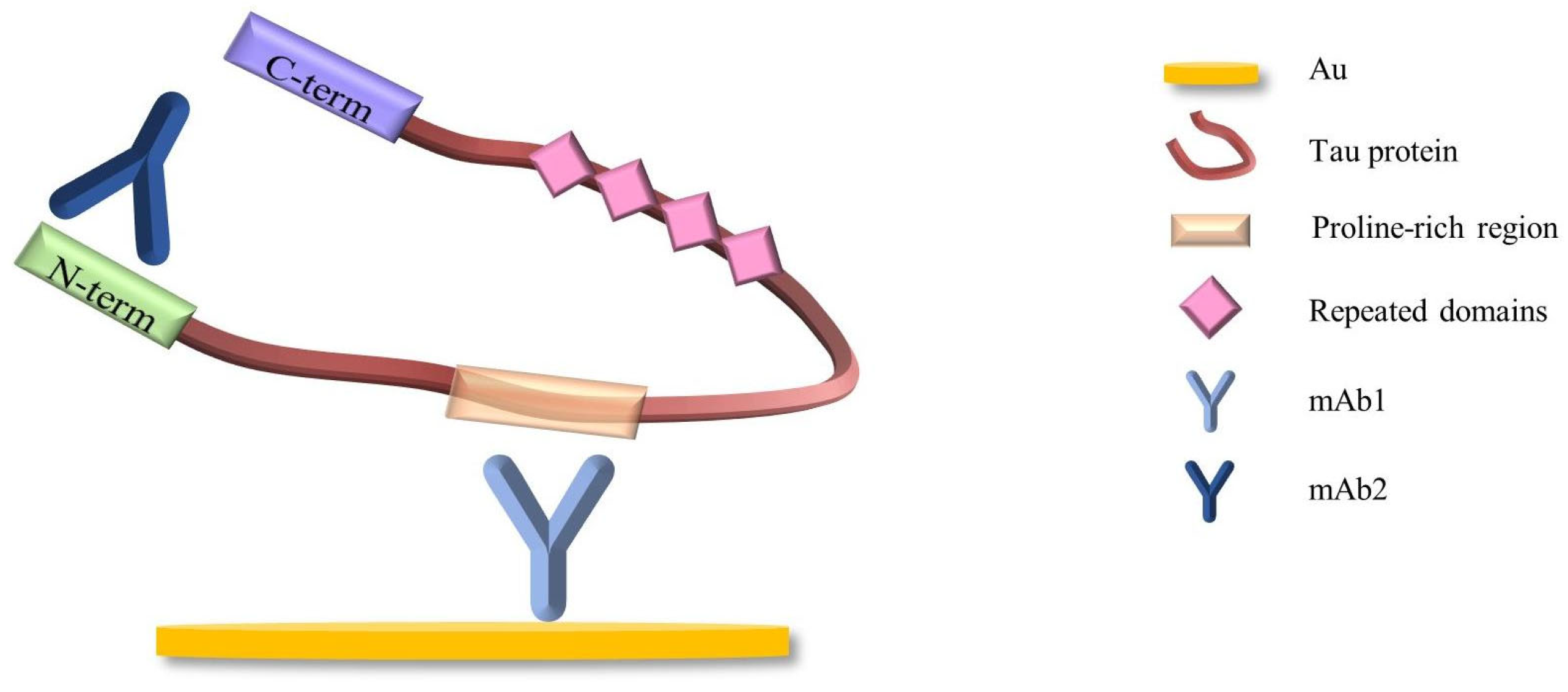 Biosensors 14 00279 g002