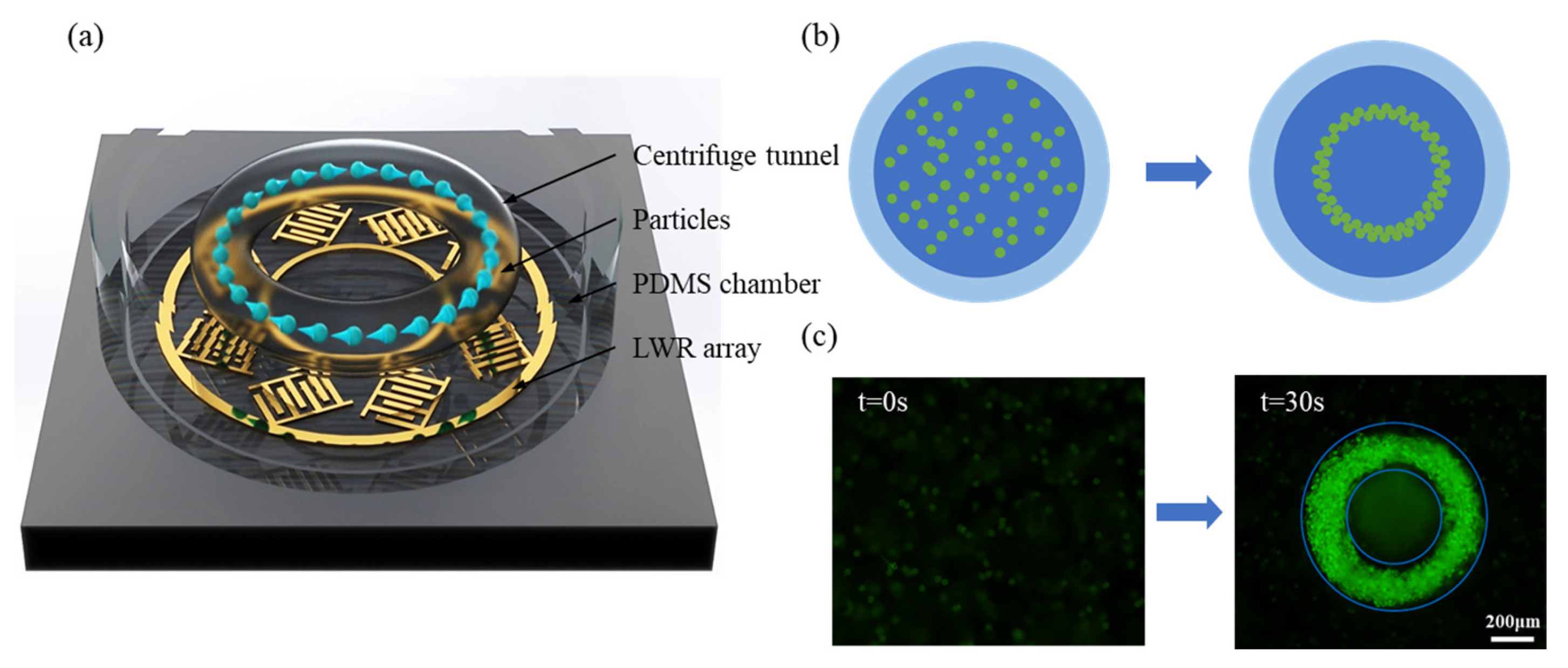 Biosensors 14 00280 g001
