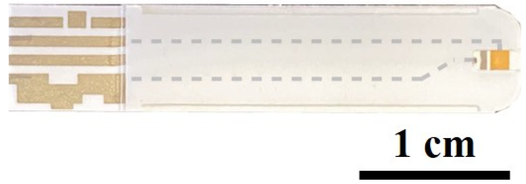 Biosensors 14 00281 g001