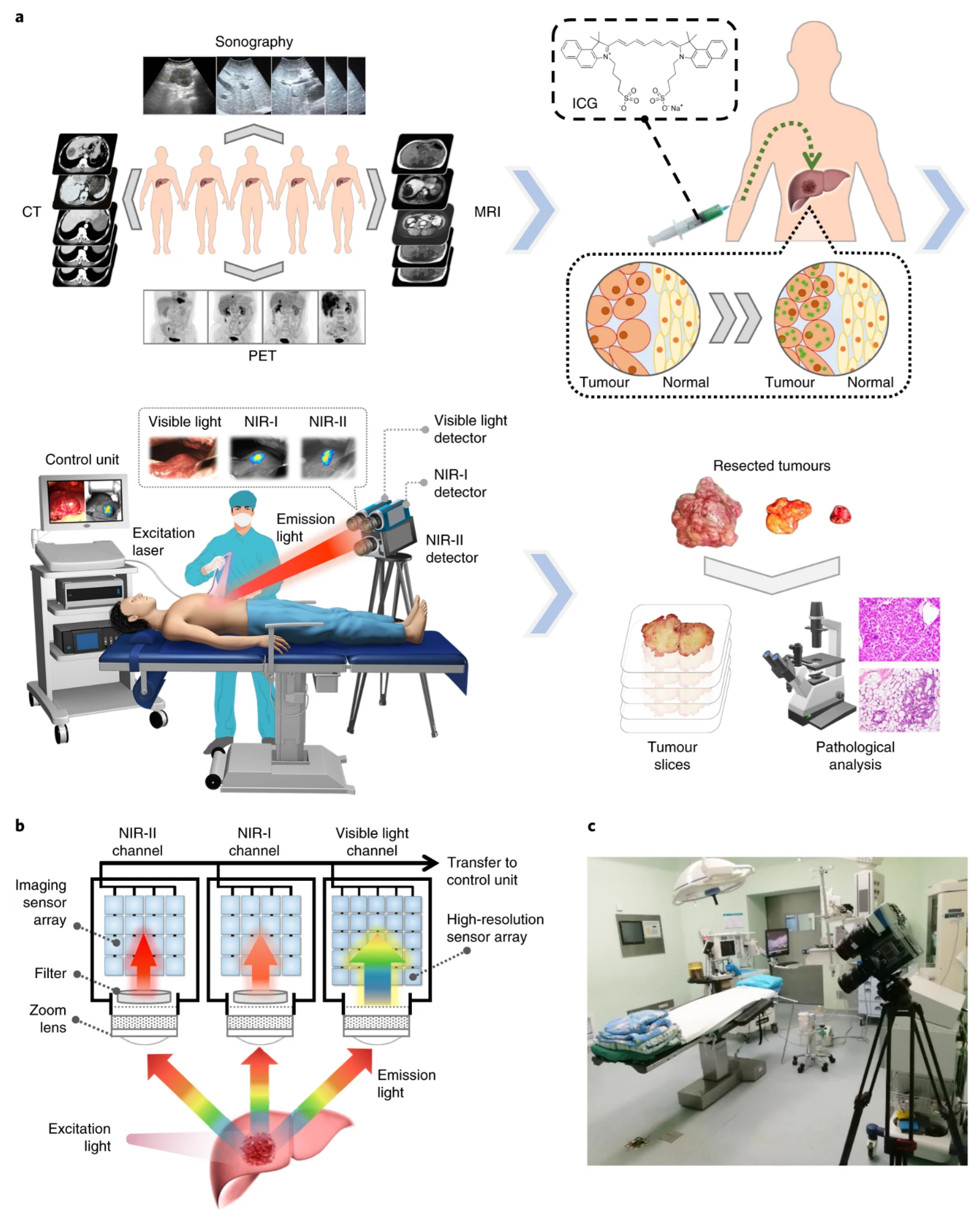Biosensors 14 00282 g002