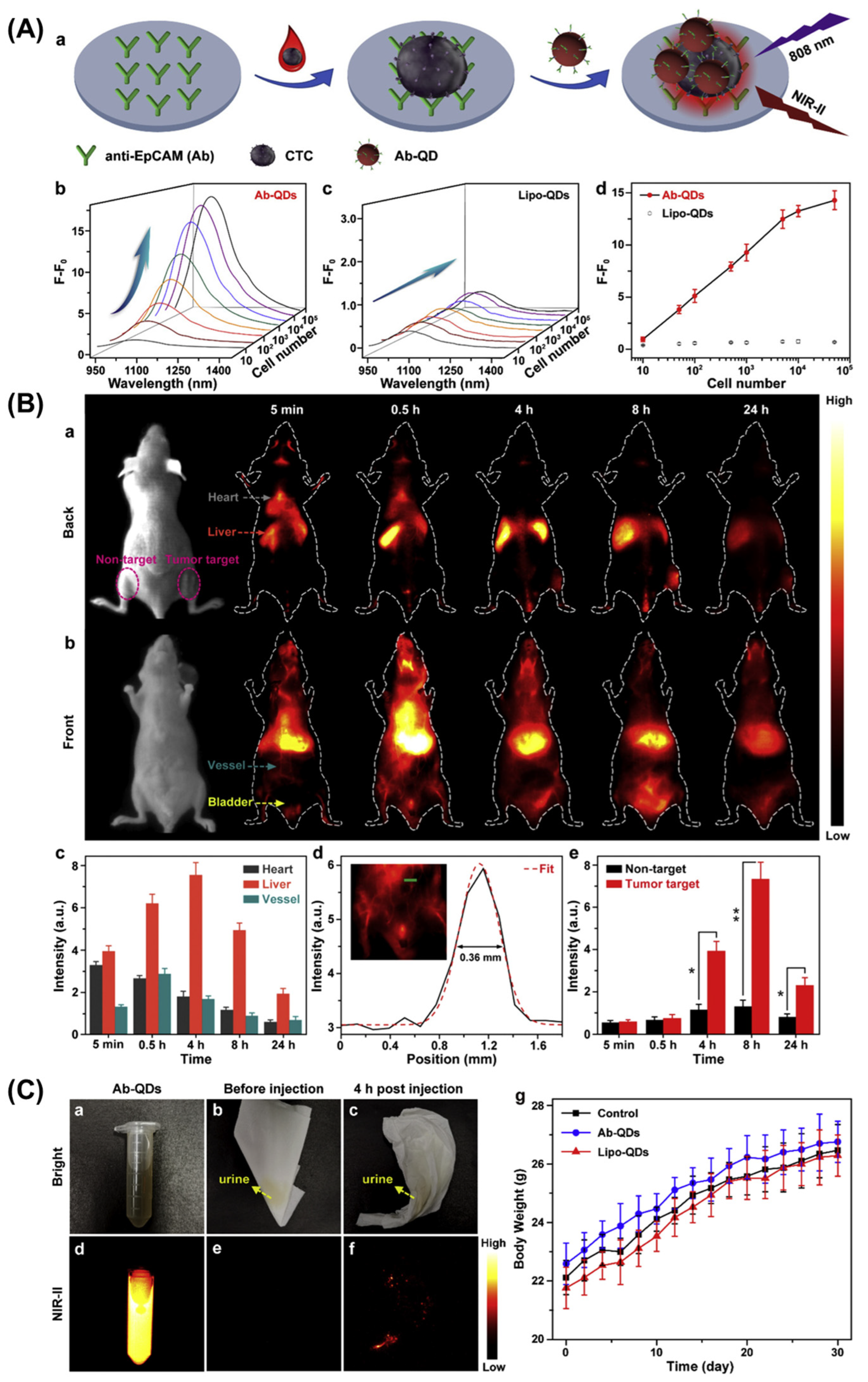 Biosensors 14 00282 g006