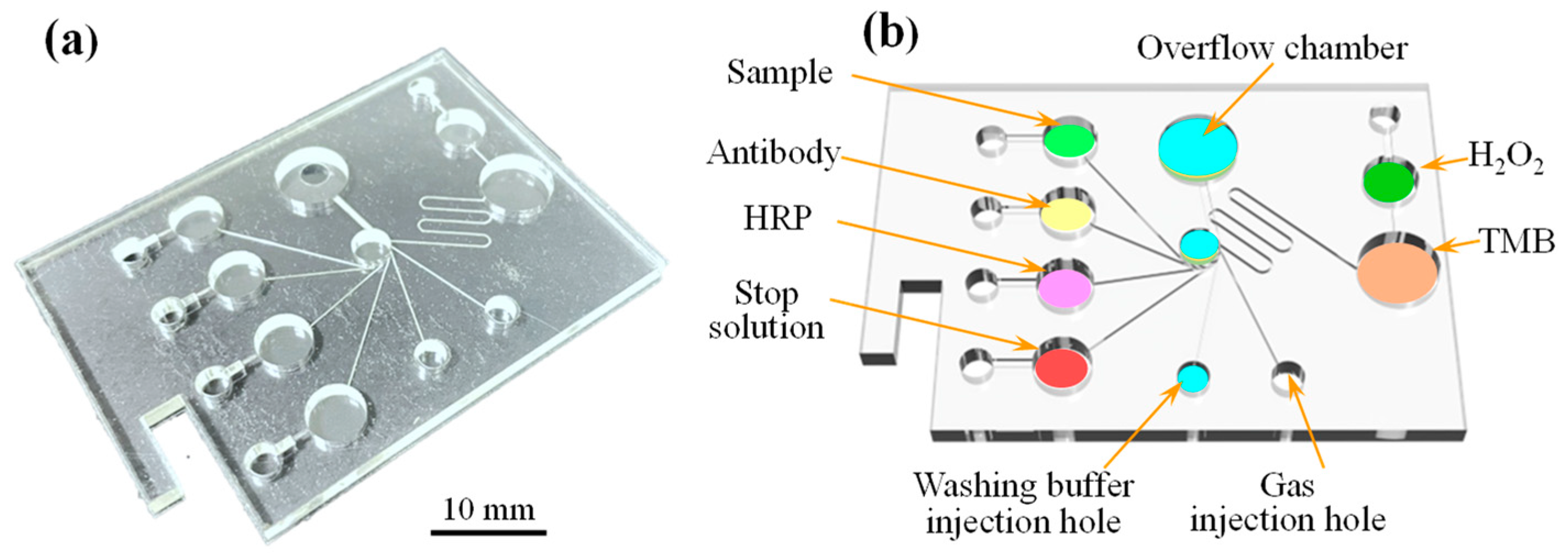 Biosensors 14 00283 g002