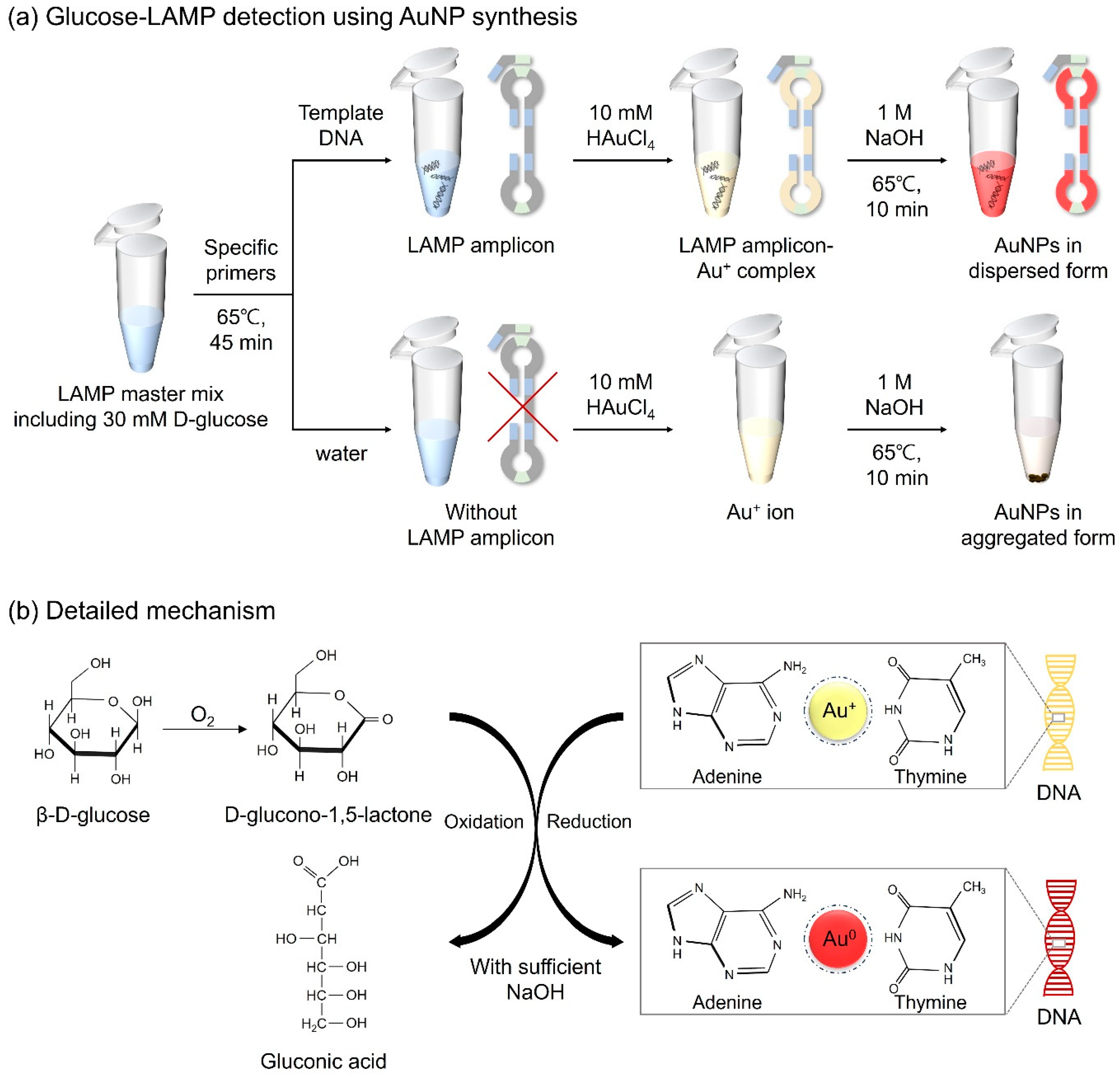 Biosensors 14 00284 g001