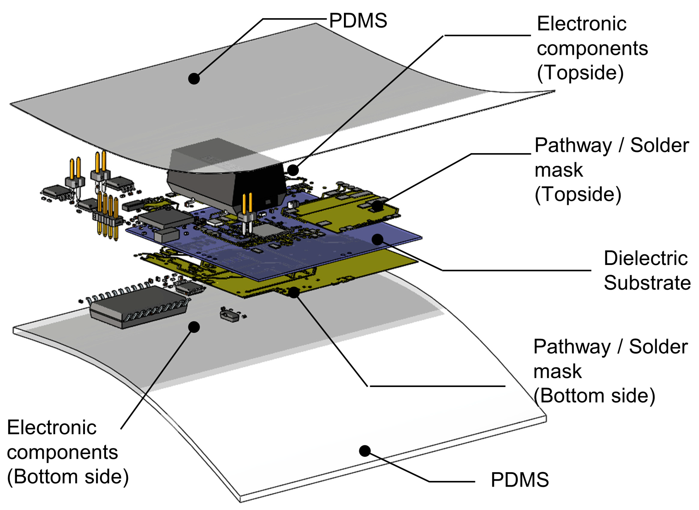 Biosensors 14 00286 g002 Biosensors 14 00286 g002