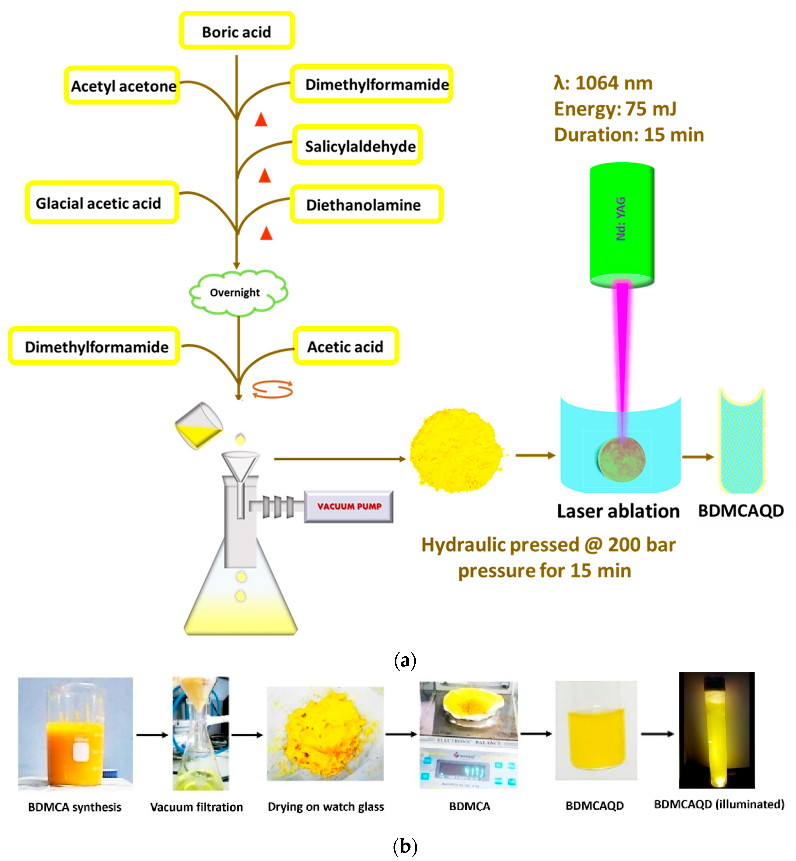 Biosensors 14 00291 g002