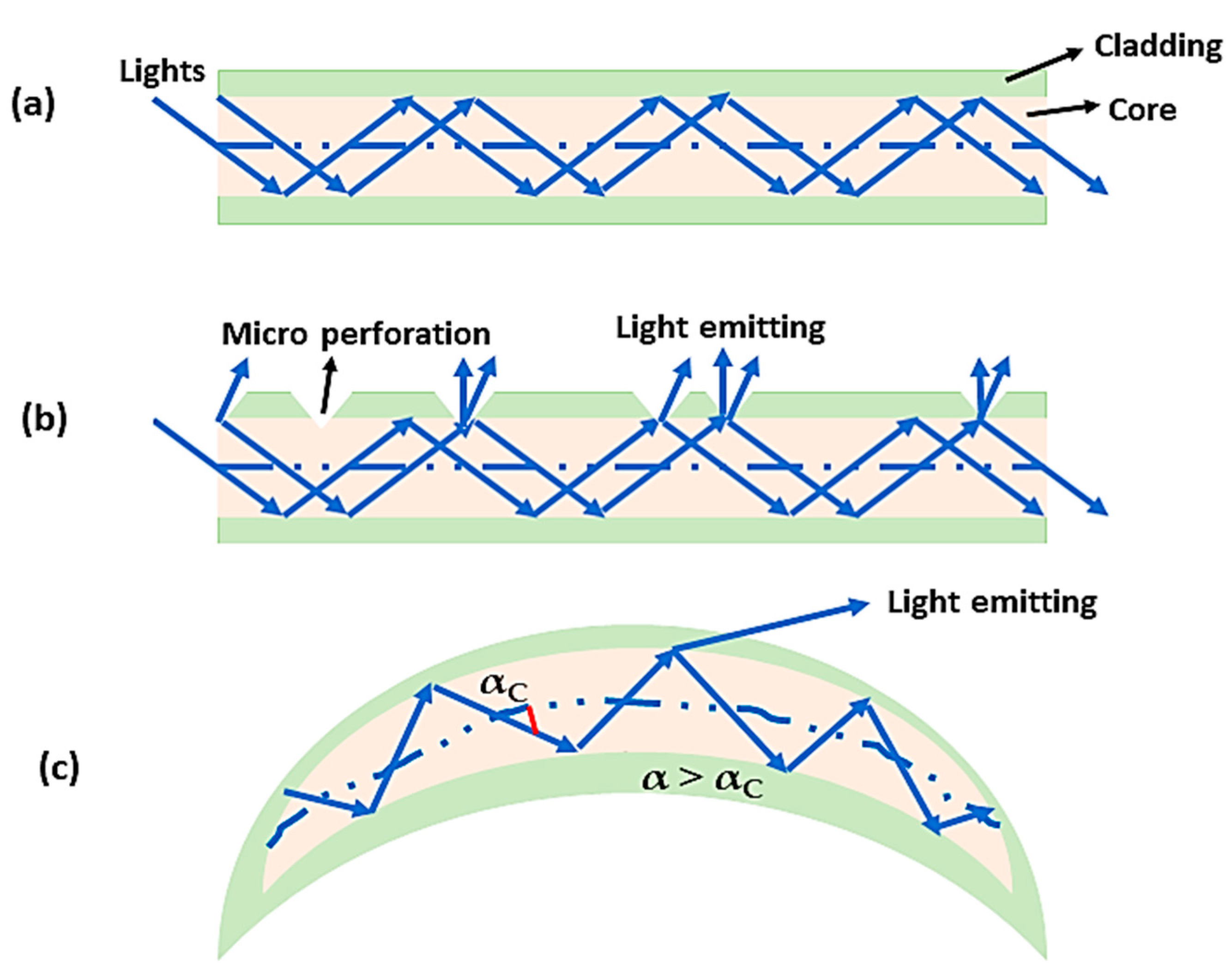 Biosensors 14 00296 g006