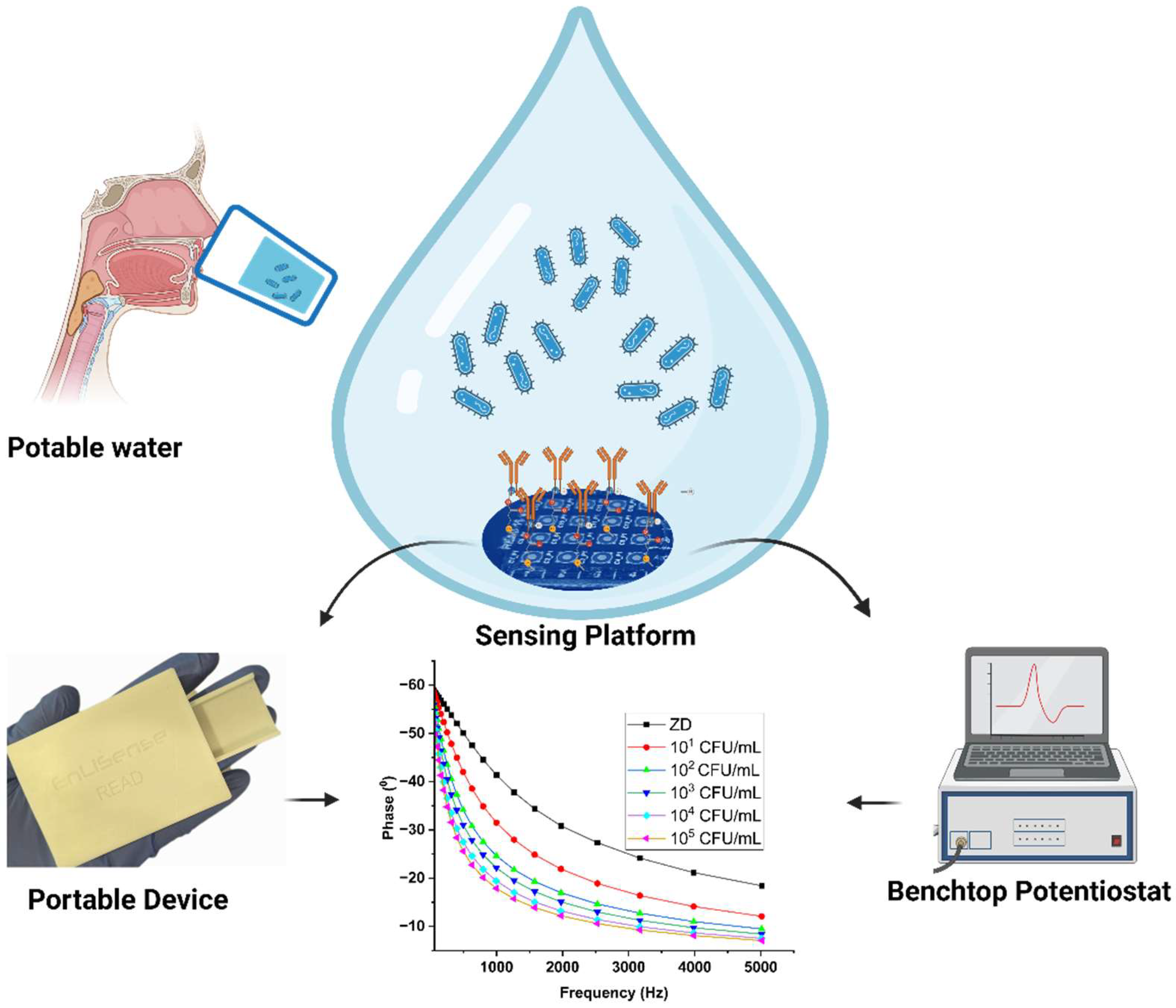 Biosensors 14 00298 g001 Biosensors 14 00298 g001