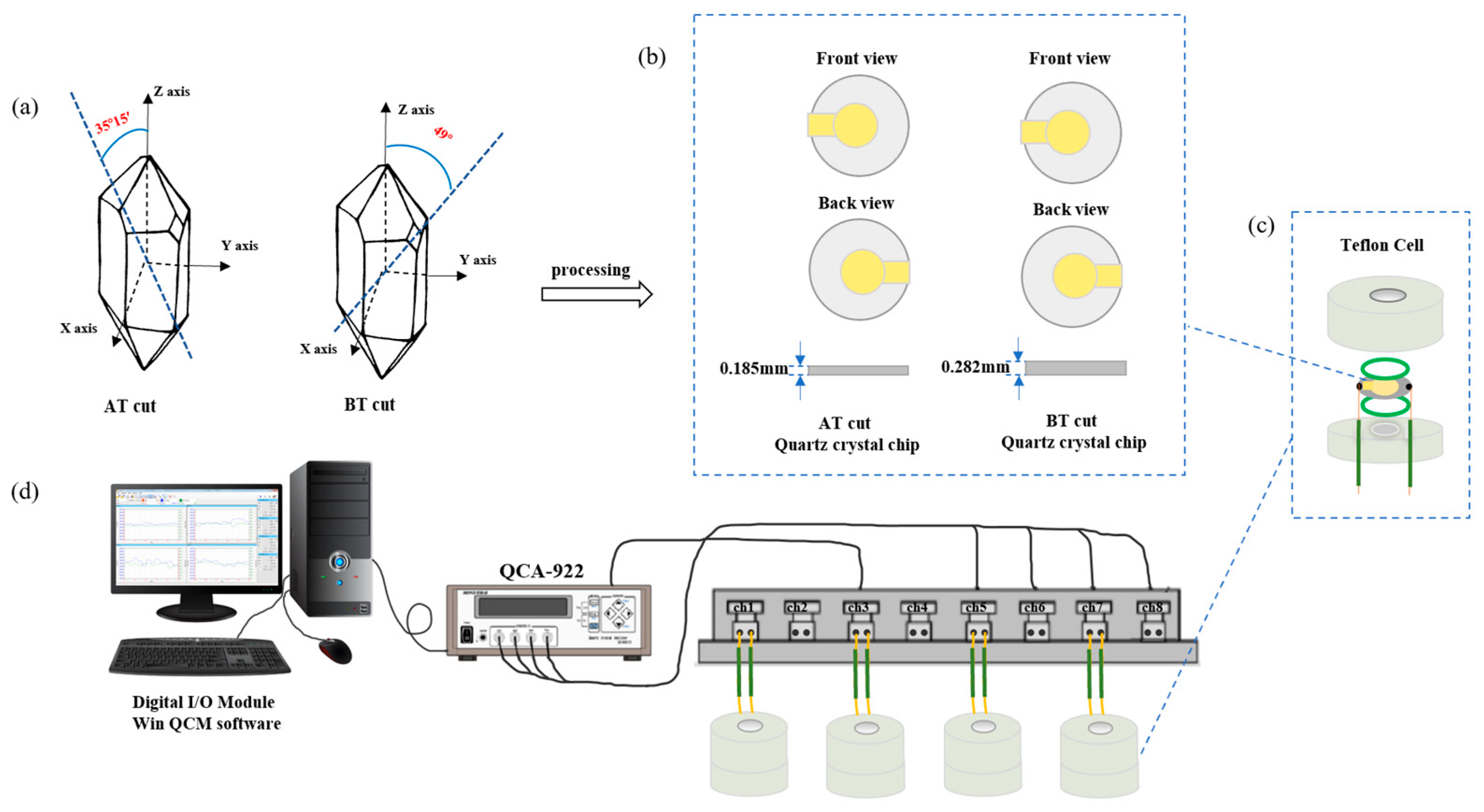 Biosensors 14 00303 g001
