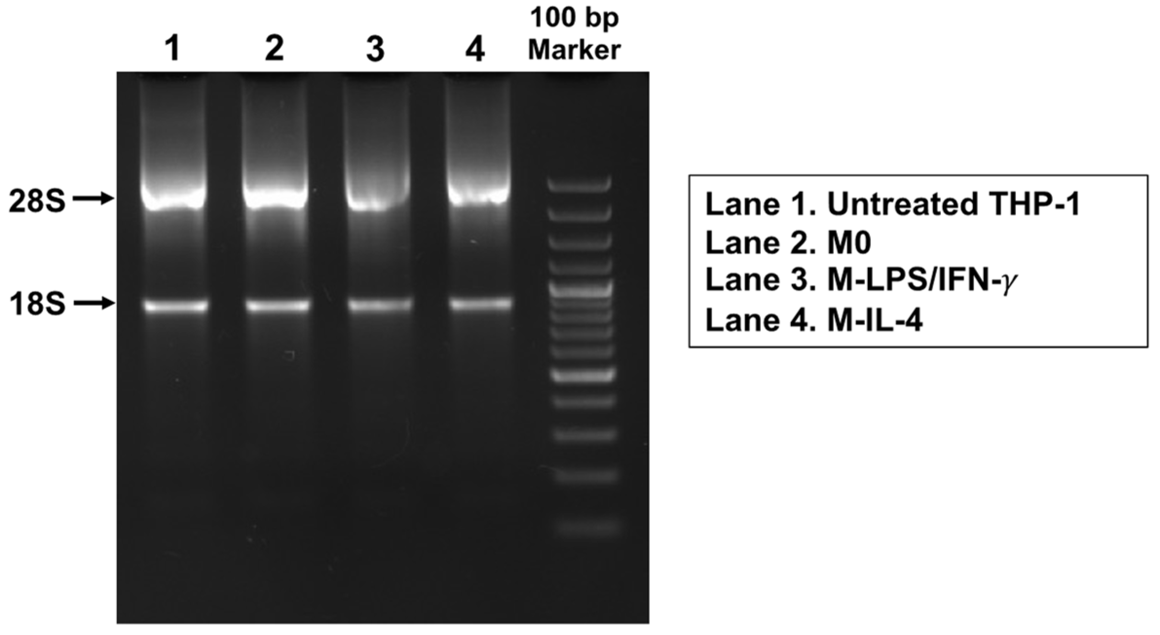 Biosensors 14 00306 g002