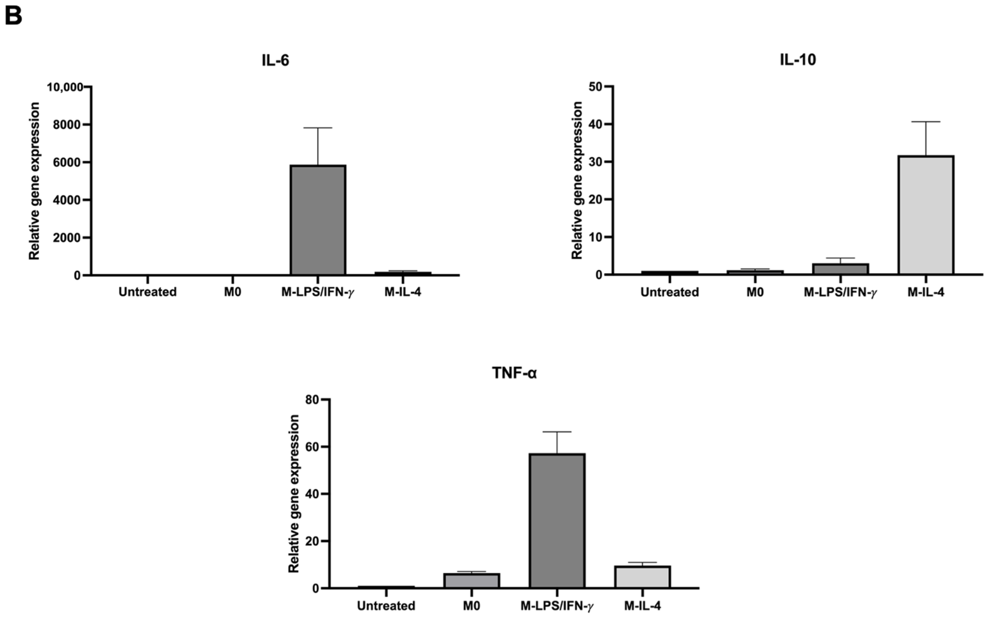 Biosensors 14 00306 g004b