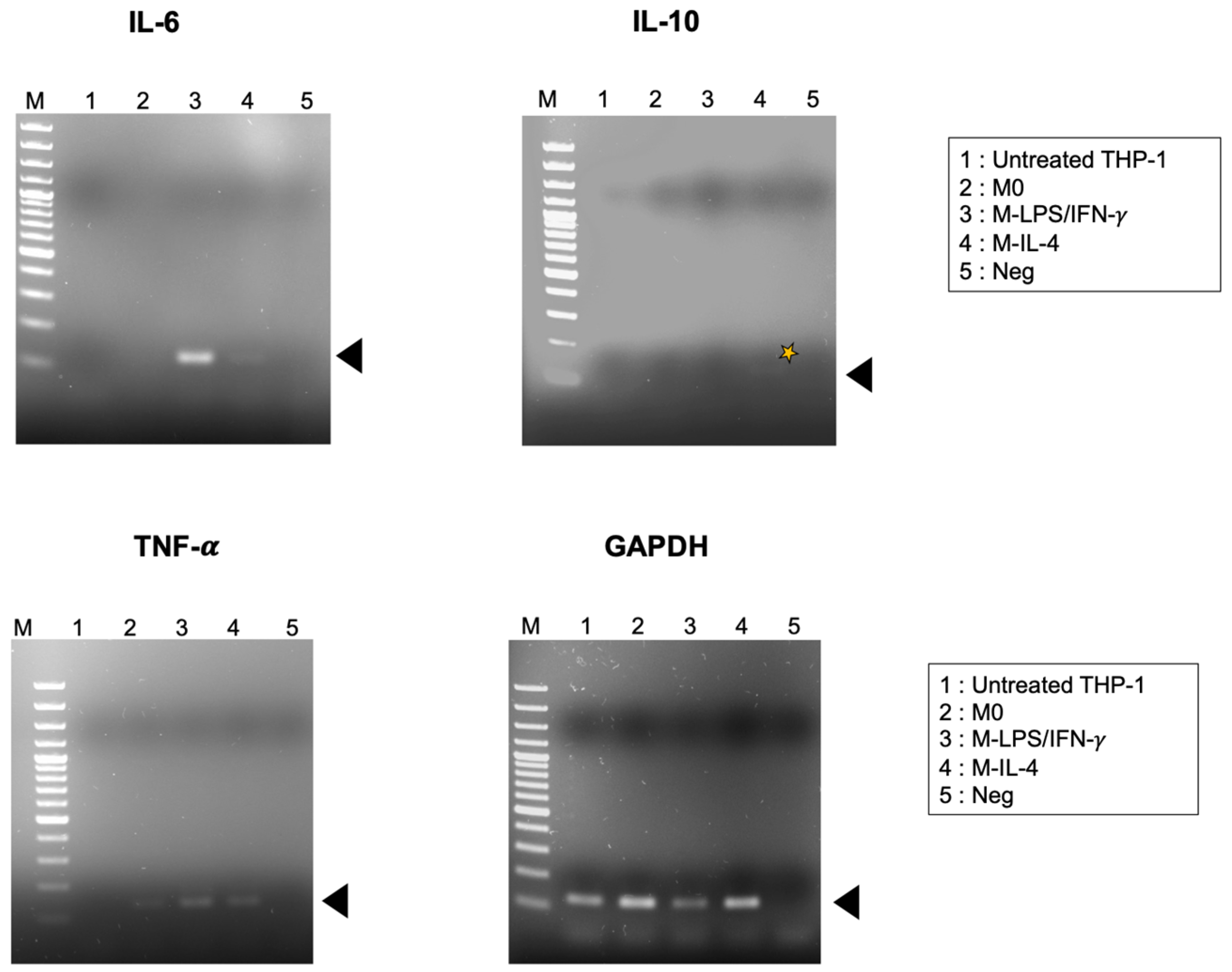 Biosensors 14 00306 g005