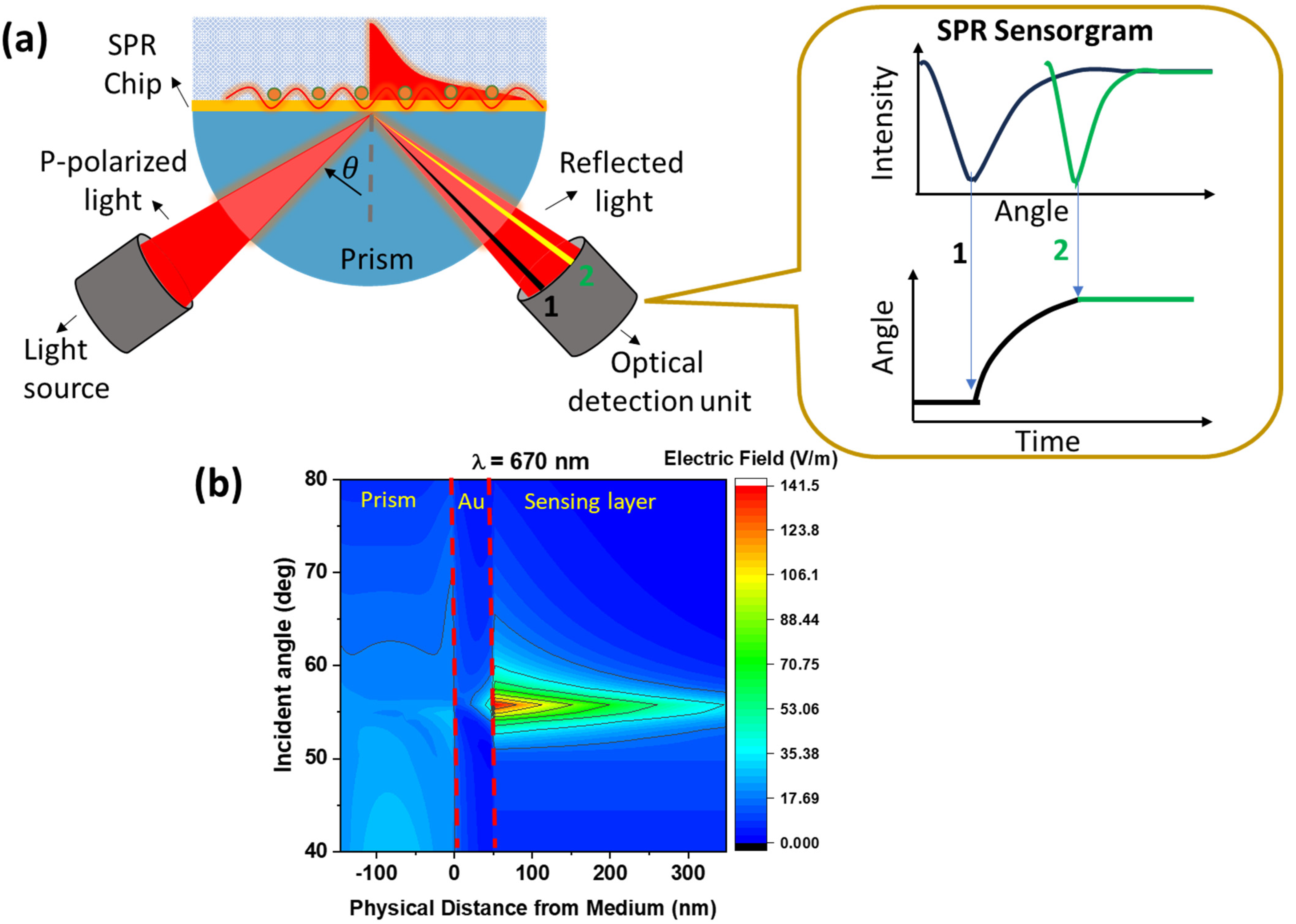 Biosensors 14 00307 g002