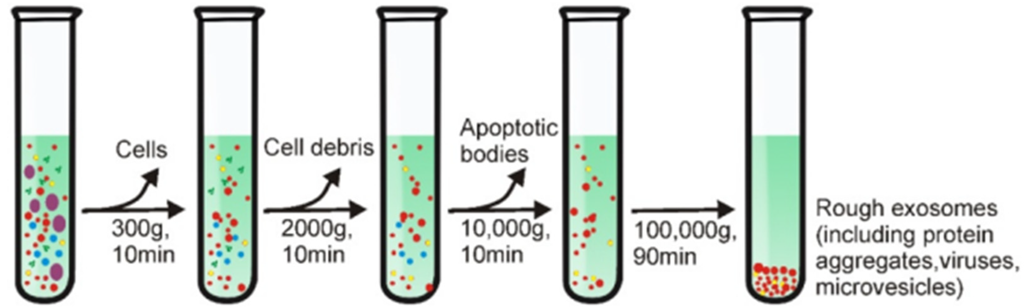 Biosensors 14 00307 g006