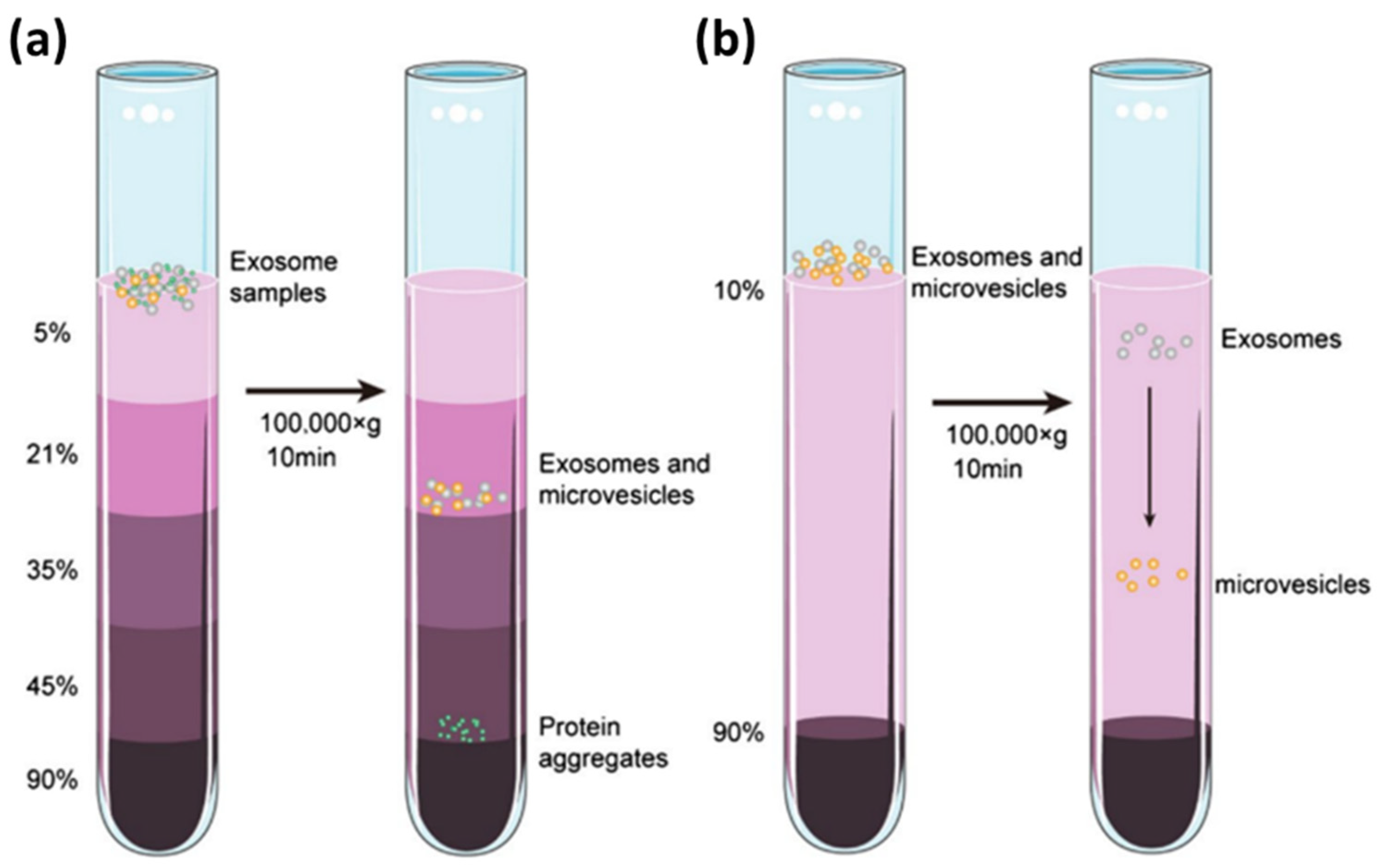 Biosensors 14 00307 g007