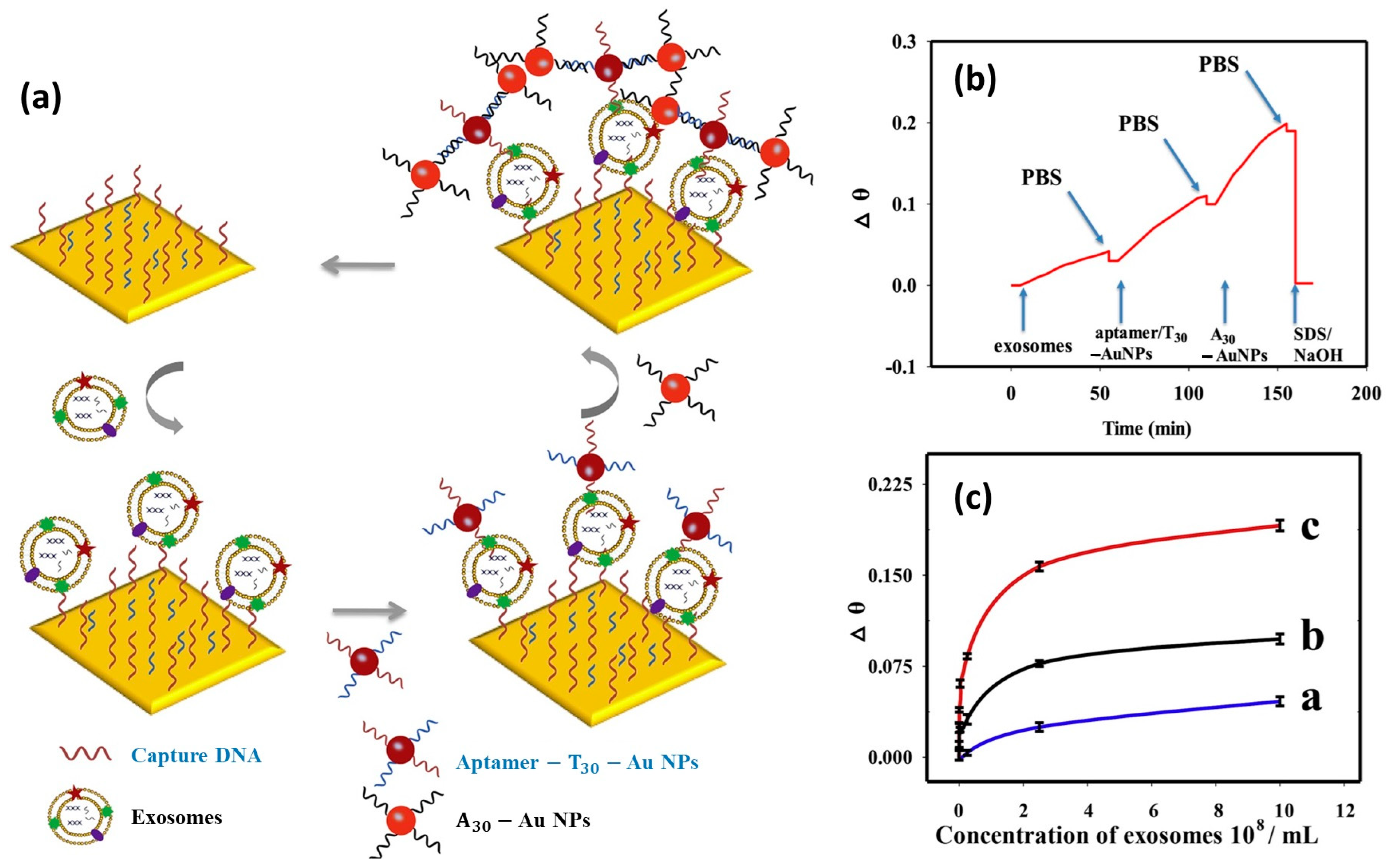 Biosensors 14 00307 g012