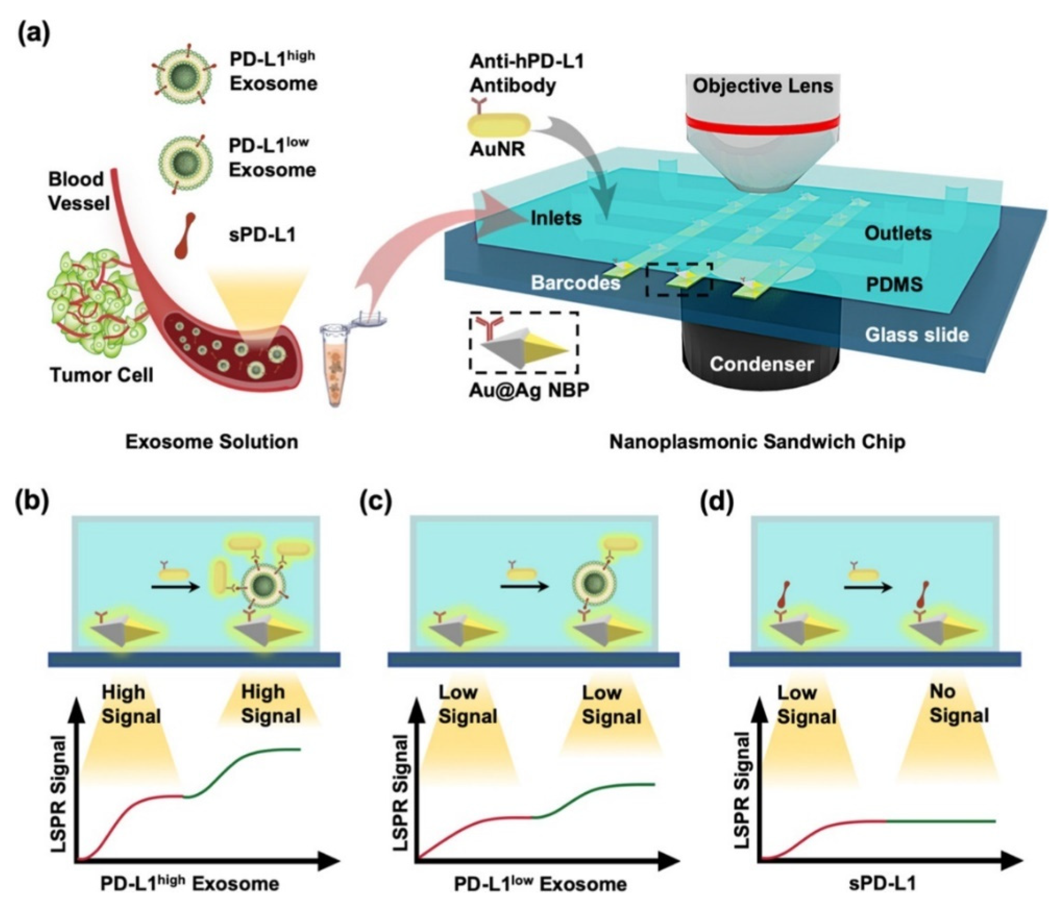 Biosensors 14 00307 g015