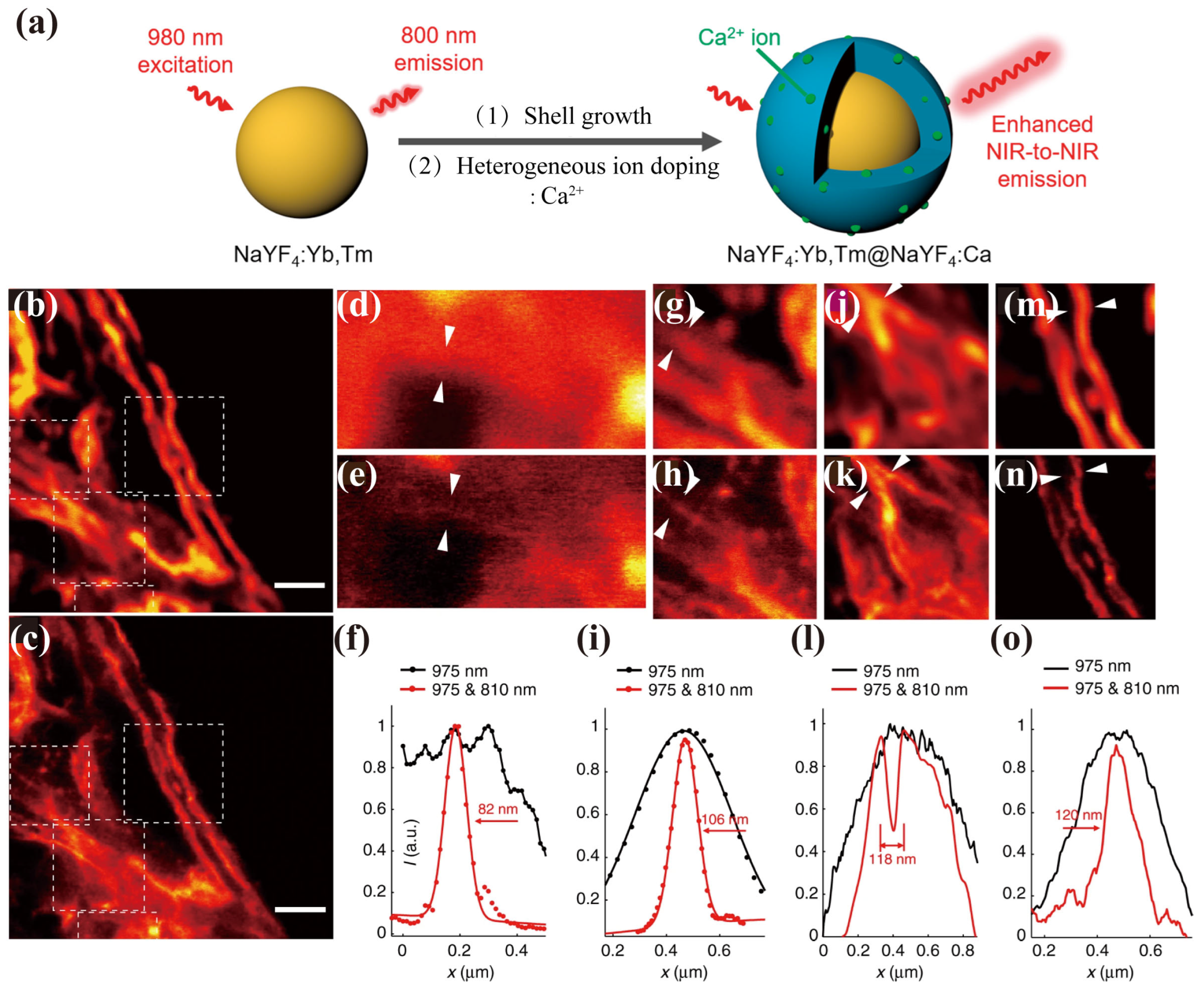 Biosensors 14 00314 g005