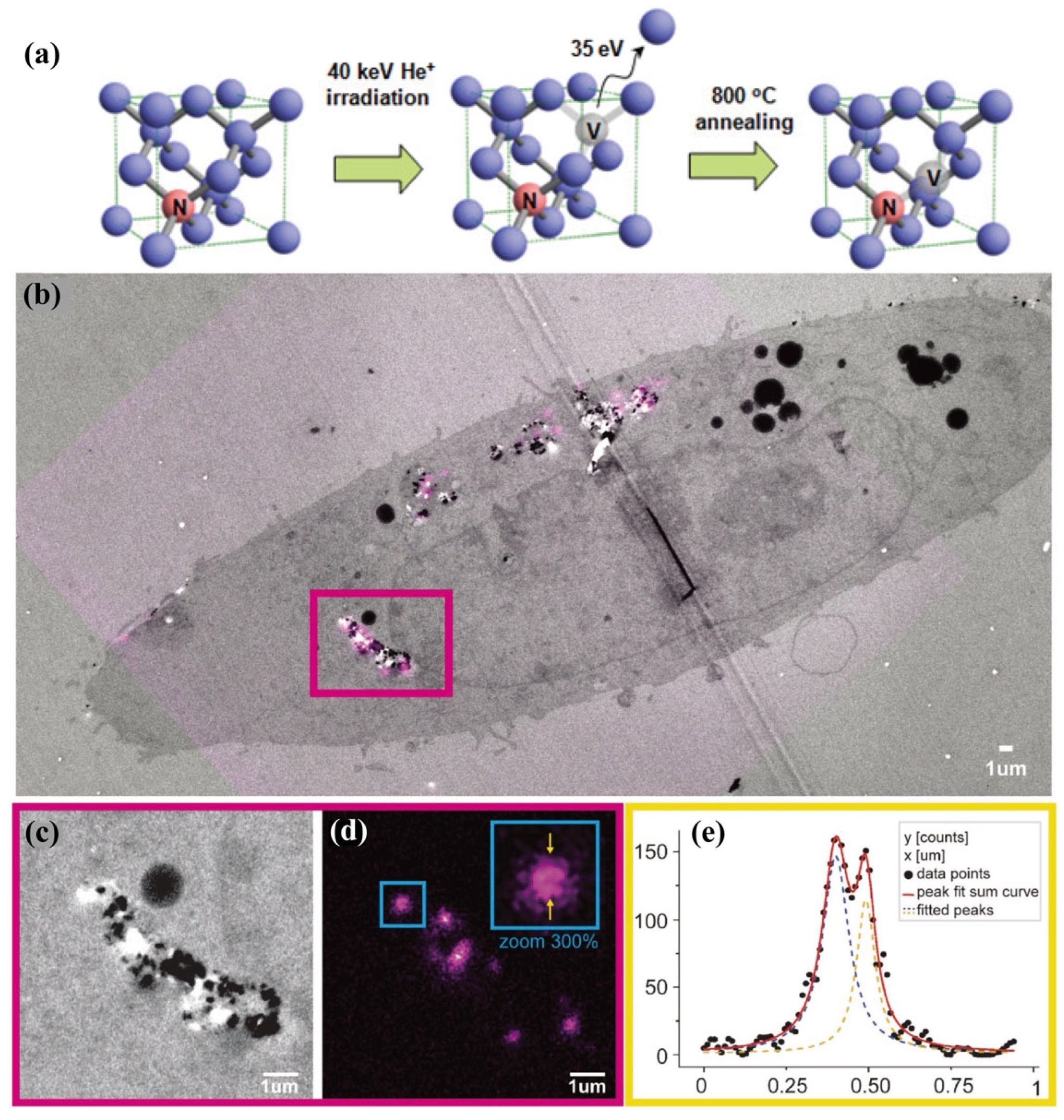 Biosensors 14 00314 g008