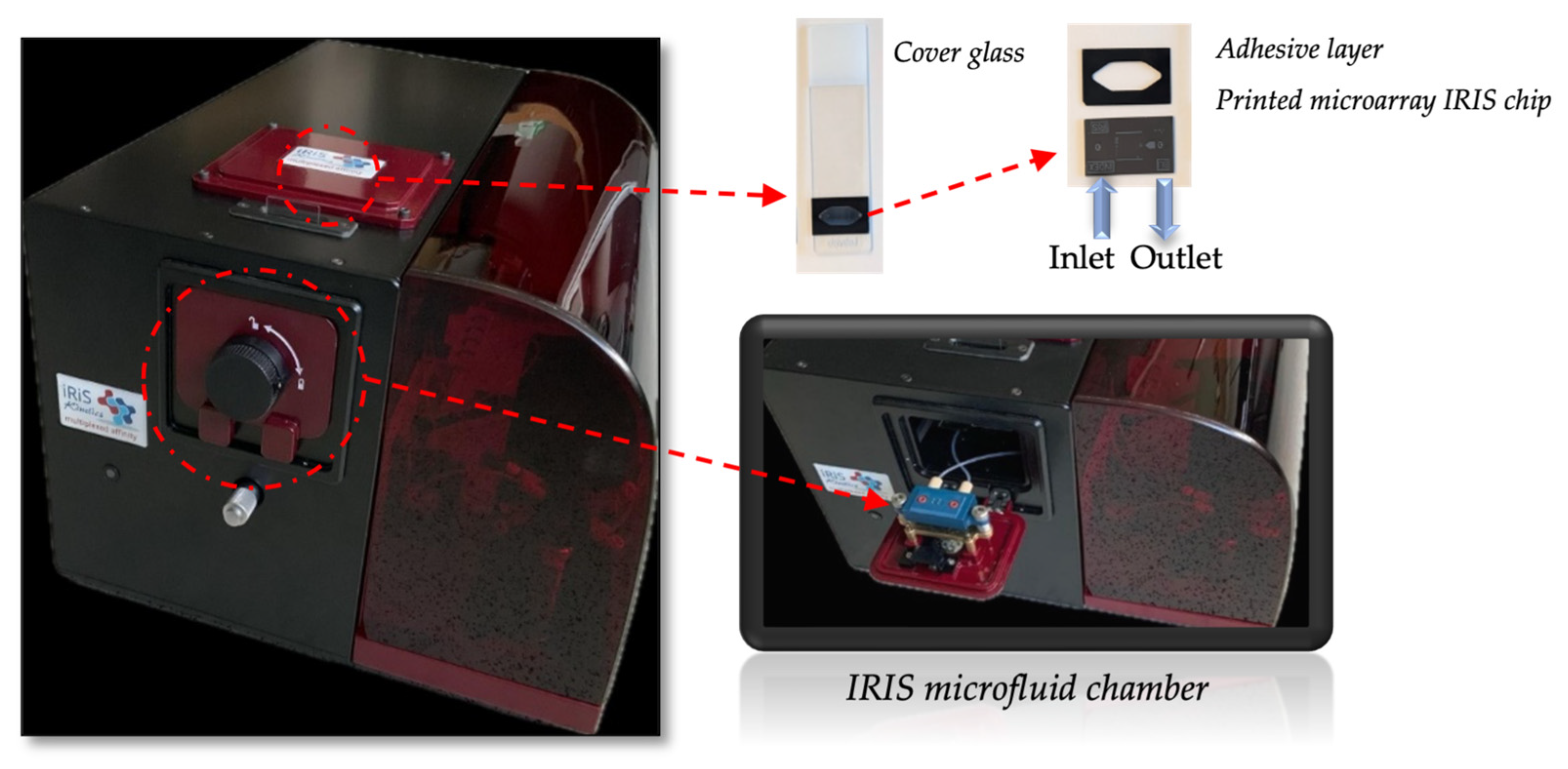 Biosensors 14 00315 g001